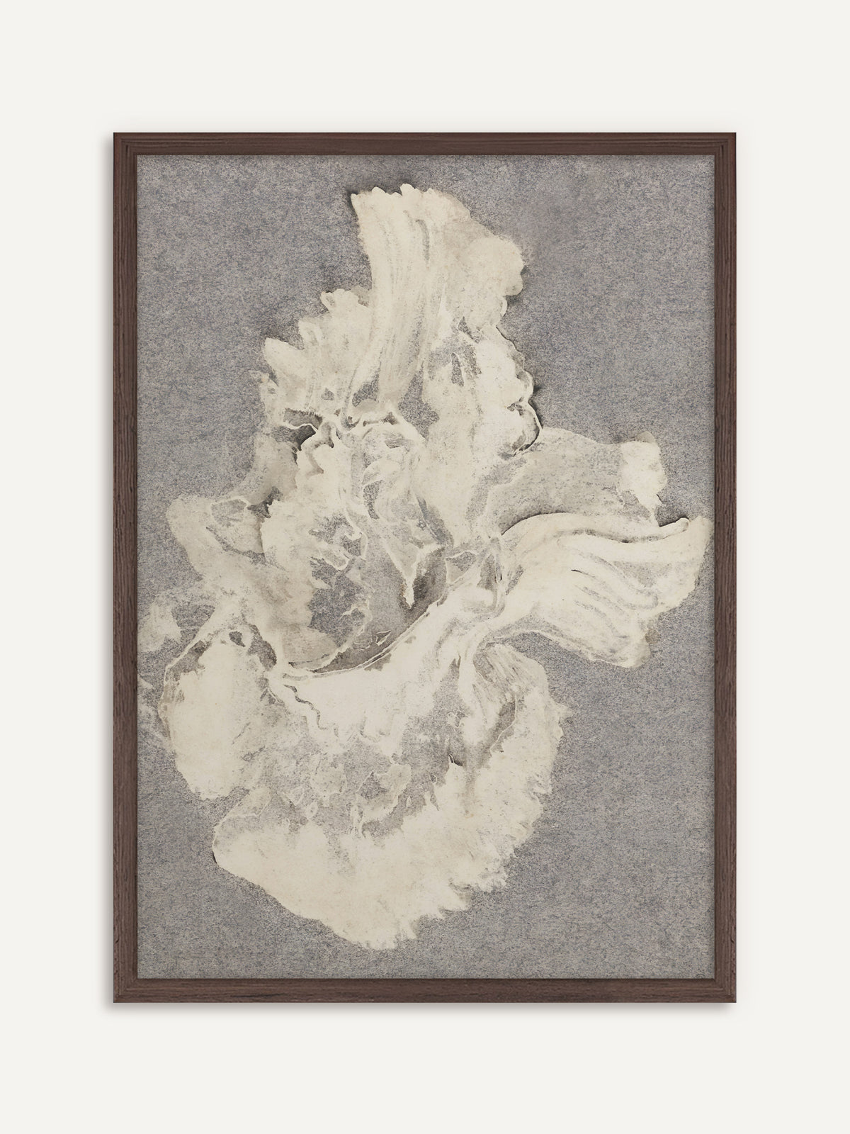 Poster, das eine einzelne große Blüte in Creme und Weiß mit gewellten Blütenblättern auf körnigem grauem Grund zeigt. Der Rahmen aus dunklem Holz gibt der hellen Blüte einen moody Kontrast. #Rahmen_Dunkles Holz