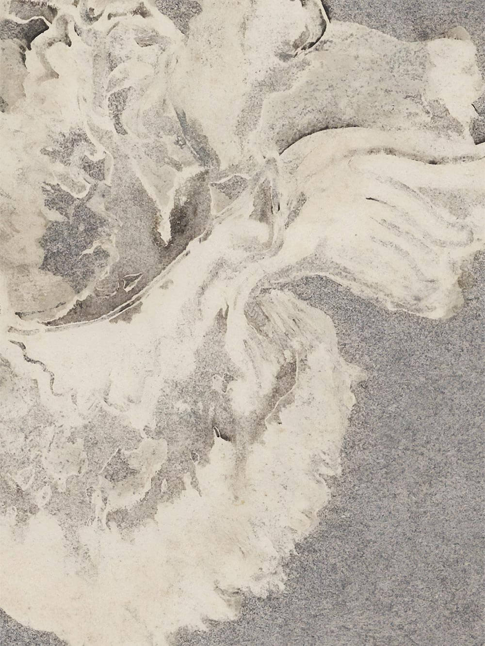 Zarte Linien und helle Blütenflächen auf matter Textur. Der florale Kunstdruck zeigt subtile Farbverläufe zwischen Grau, Creme und Beige.