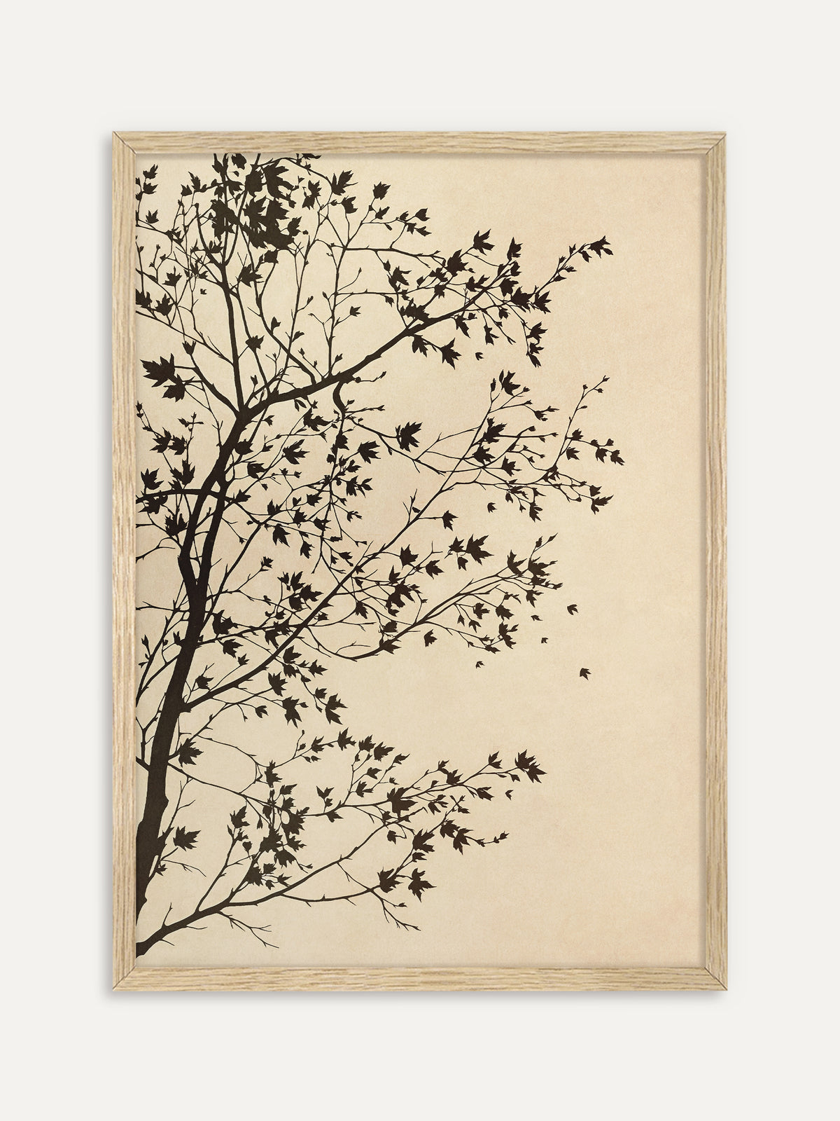 Kunstdruck, der die Silhouette eines Baumes zeigt, dessen dunkle Zweige mit kleinem Ahornlaub vom linken Bildrand weit in einen warmen Sandton ragen. Im Rahmen aus hellem Holz wirkt das Japandi Motiv leicht und natürlich. #Rahmen_Helles Holz