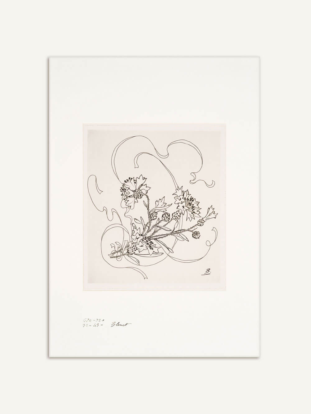 Eine minimalistische Schwarz-Weiß-Zeichnung zeigt eine Kornblume mit filigranen Blättern und Blüten, umgeben von elegant geschwungenen Linien, die Bewegung und Leichtigkeit vermitteln.