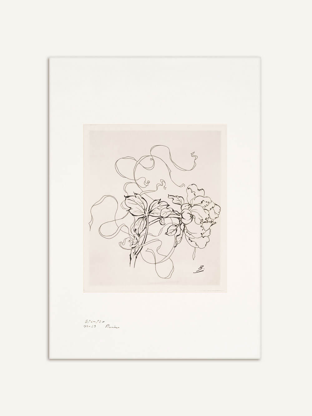Ein minimalistisches Kunstposter mit einer feinen Chinoiserie-Zeichnung einer Pfingstrose und dekorativen Ranken, in schwarz-weißer Linie auf hellem Hintergrund dargestellt. Unten links ist eine handschriftliche Notiz und eine Signatur des Künstlers zu sehen.
