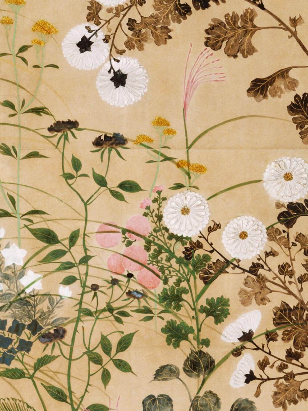 Detailaufnahme eines floralen Chinoiserie-Wandbildes. Weiße Chrysanthemen mit gelben Zentren, umgeben von braunen Blättern und zarten Gräsern auf einem beigen Hintergrund. Rosafarbene Blüten und fein gezeichnete Pflanzen ergänzen die Komposition, die eine ruhige, herbstliche Atmosphäre erzeugt.