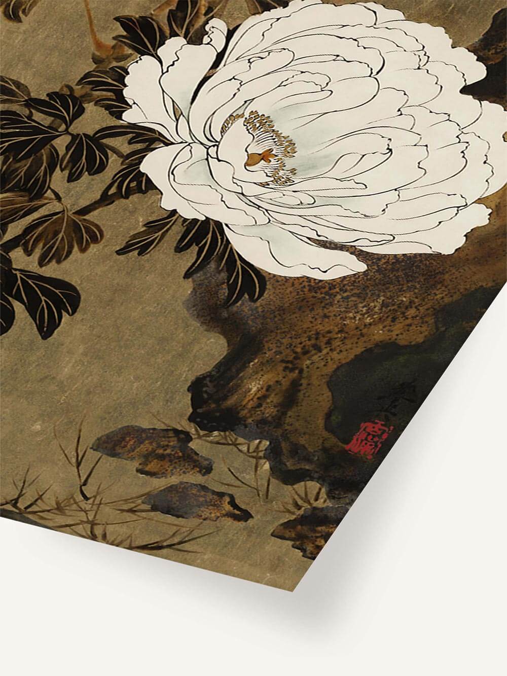 Fein gezeichneter Blütenkopf mit cremeweißen Blättern und goldenen Akzenten auf gealtertem Papier. Die texturierte Oberfläche unterstreicht den Vintage-Charakter des Kunstdrucks.