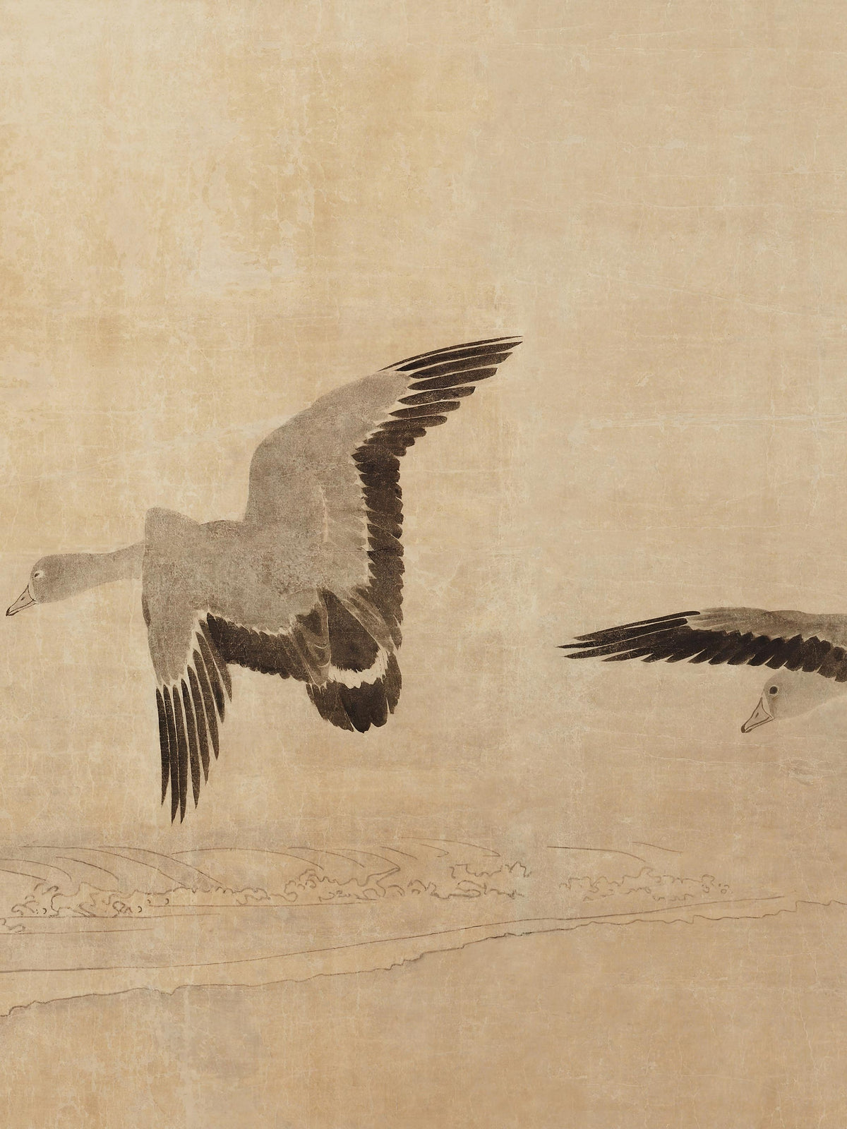 Nahaufnahme des Kunstdrucks mit einer Gans im Flug, deren dunkle Schwungfedern sich vom sandfarbenen Grund abheben, darunter fein gezeichnete Wellen. Die gealterte, fleckige Struktur des Originals ist deutlich zu erkennen.