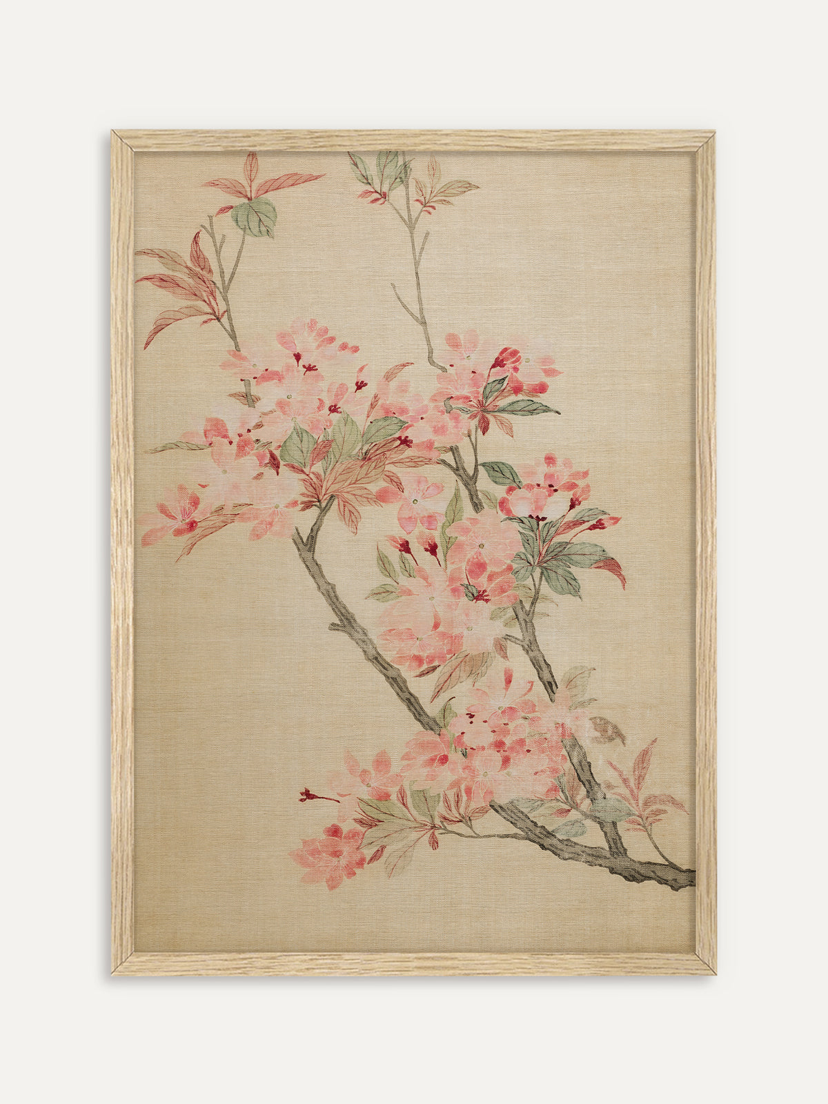 Kunstdruck, der einen Kirschzweig mit rosa Blüten, roten Knospen und rötlich grünen Blättern auf beigem Seidengrund zeigt. Im Rahmen aus hellem Holz wirkt das Japandi Motiv hell und frühlingshaft. #Rahmen_Helles Holz