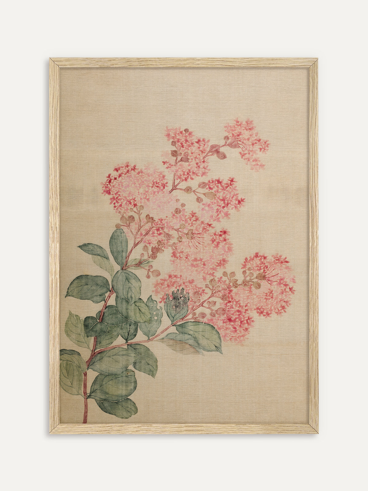 Kunstdruck, der einen Zweig mit üppigen rosa Blütendolden, runden Knospen und grünen Blättern auf beigem Seidengrund zeigt. Im Rahmen aus hellem Holz wirkt das botanische Motiv frisch und natürlich. #Rahmen_Helles Holz