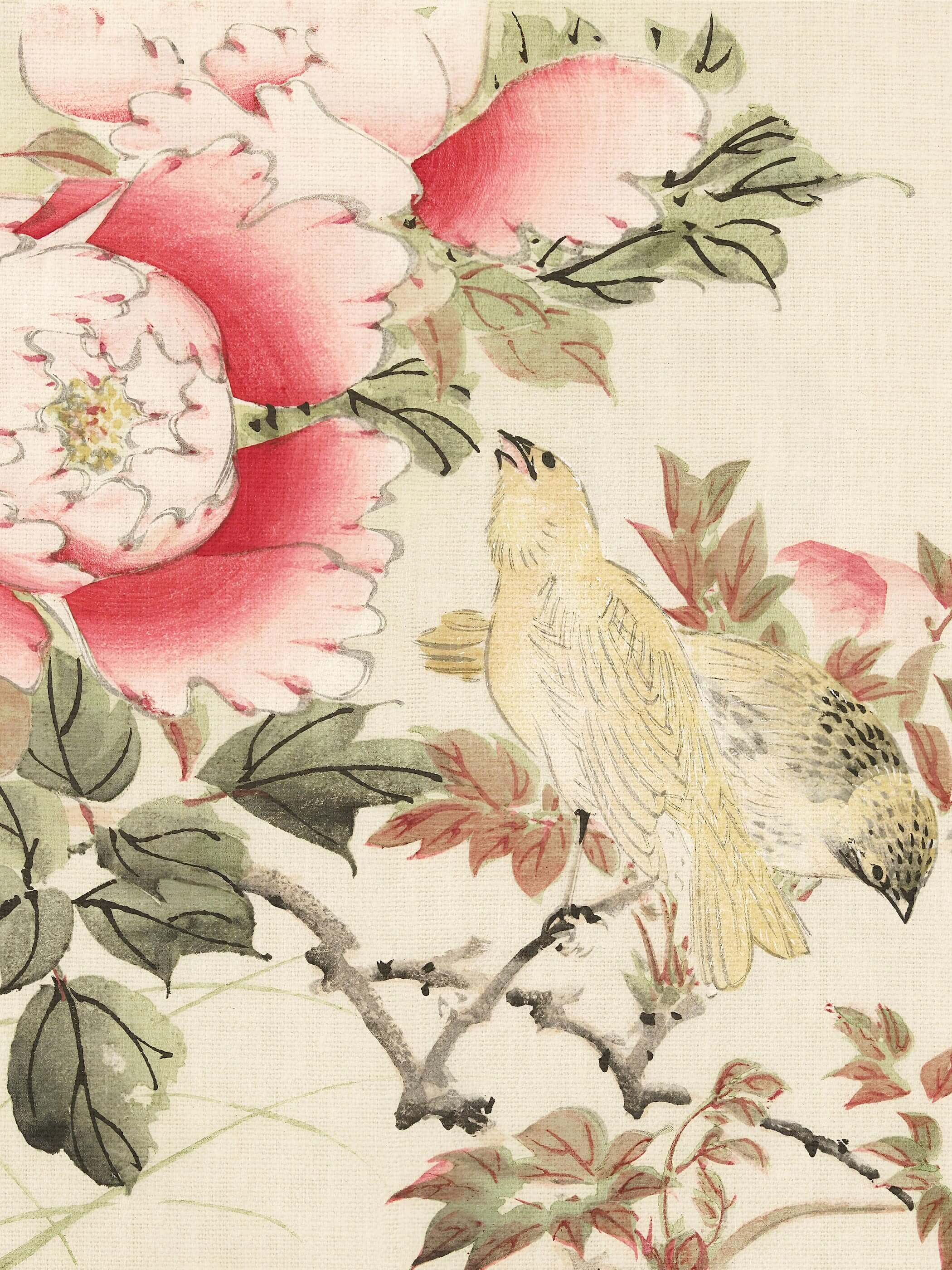 Nahaufnahme des Chinoiserie Kunstdrucks zeigt ein gelbes Vogelpaar zwischen üppigen rosa Pfingstrosenblüten und feinen Blattadern im Detail. Die zarten Farbverläufe unterstreichen den vintage Charakter dieses Wandbilds.