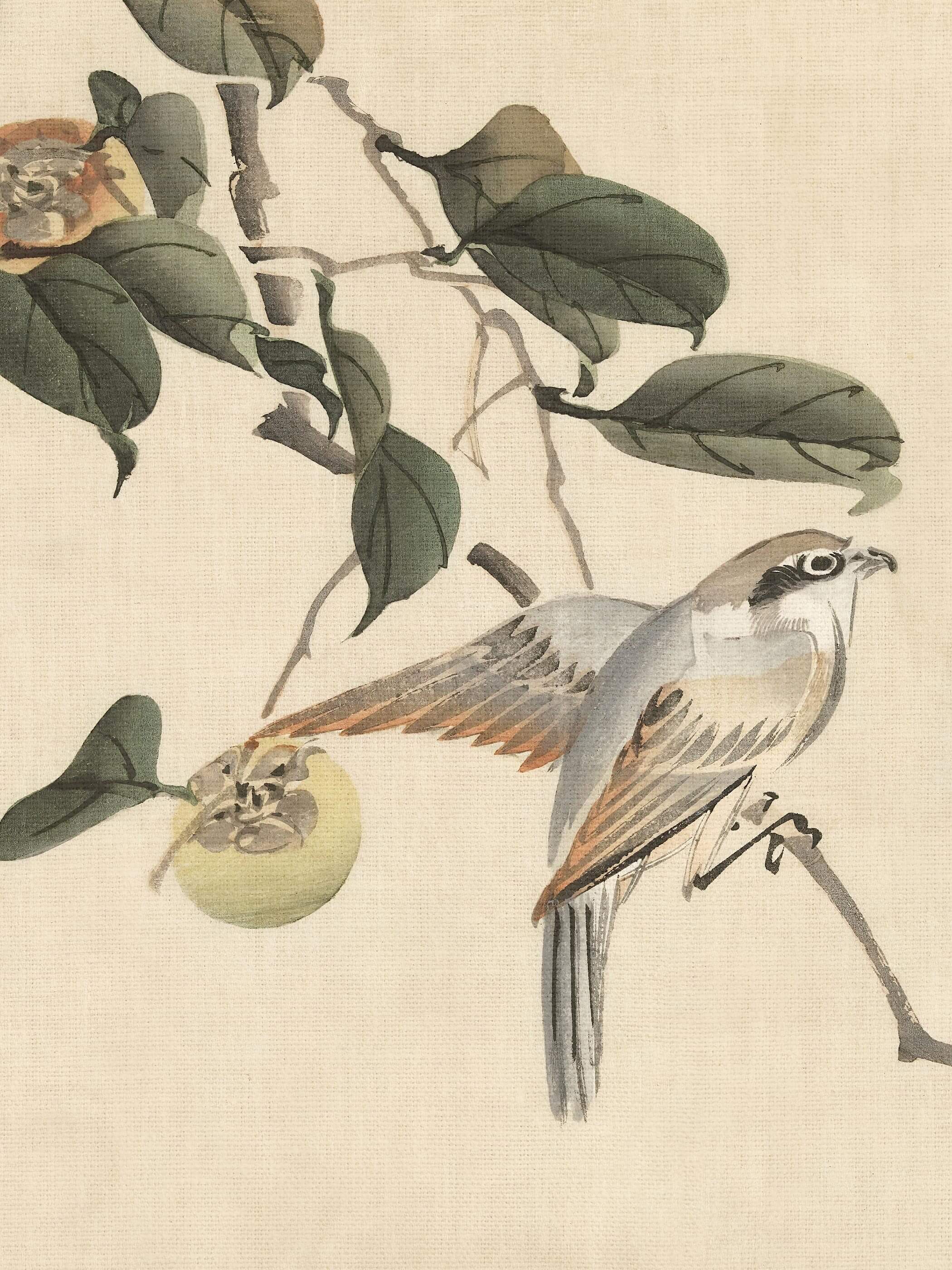 Nahaufnahme des Chinoiserie Kunstdrucks zeigt das fein gezeichnete Gefieder des Vogels mit orangefarbenen Schwungfedern sowie die reifen Kaki-Früchte im Detail. Die warmen Farbnuancen unterstreichen den vintage Charakter dieses Wandbilds.