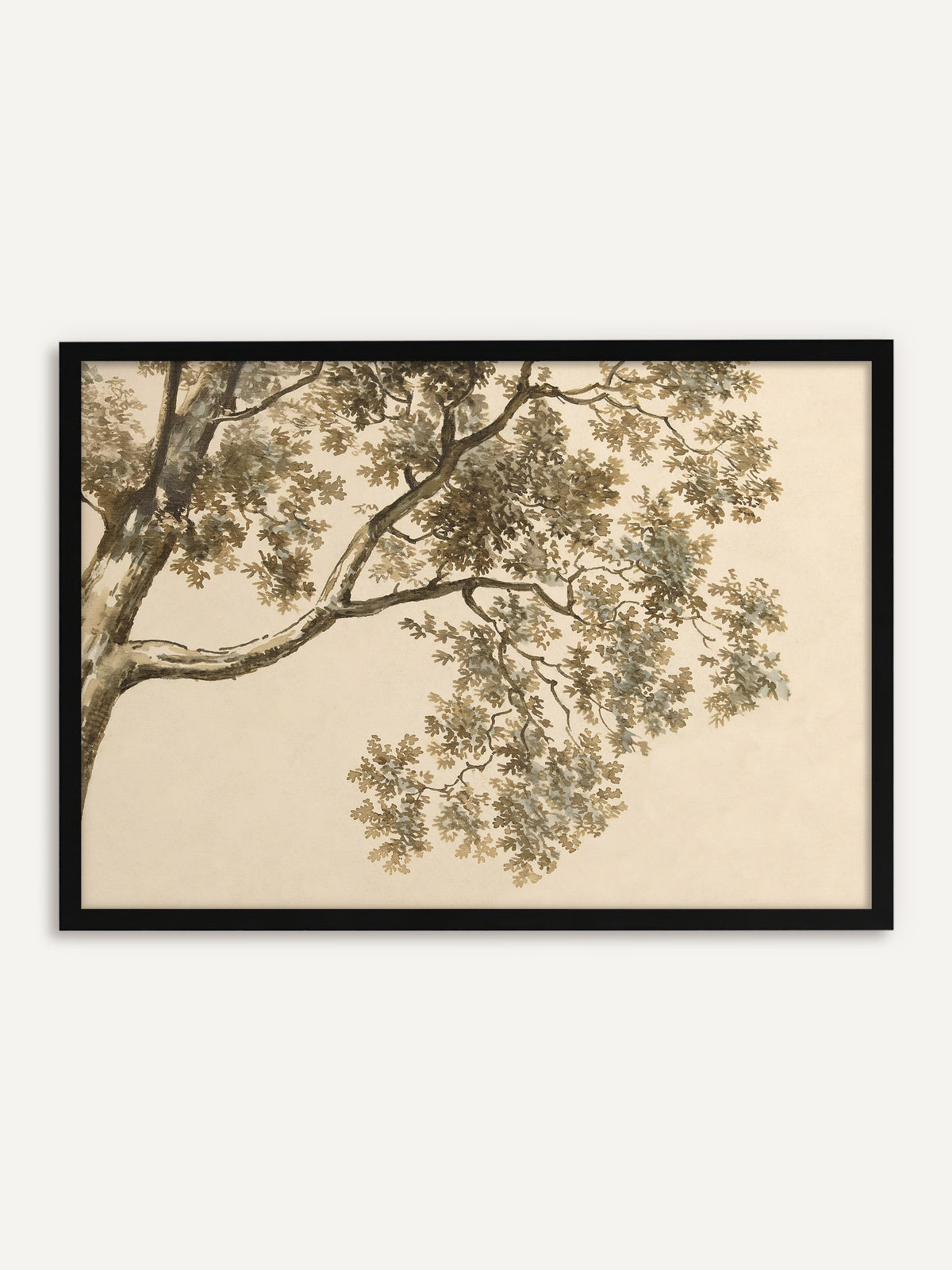 Gerahmtes Poster, das einen Baumstamm am linken Rand und einen weit ausladenden Ast mit gelapptem Laub in Sepia und Graublau auf warmem Beige zeigt. Mit schwarzem Rahmen bekommt das Vintage Motiv eine klare Kontur. #Rahmen_Schwarz