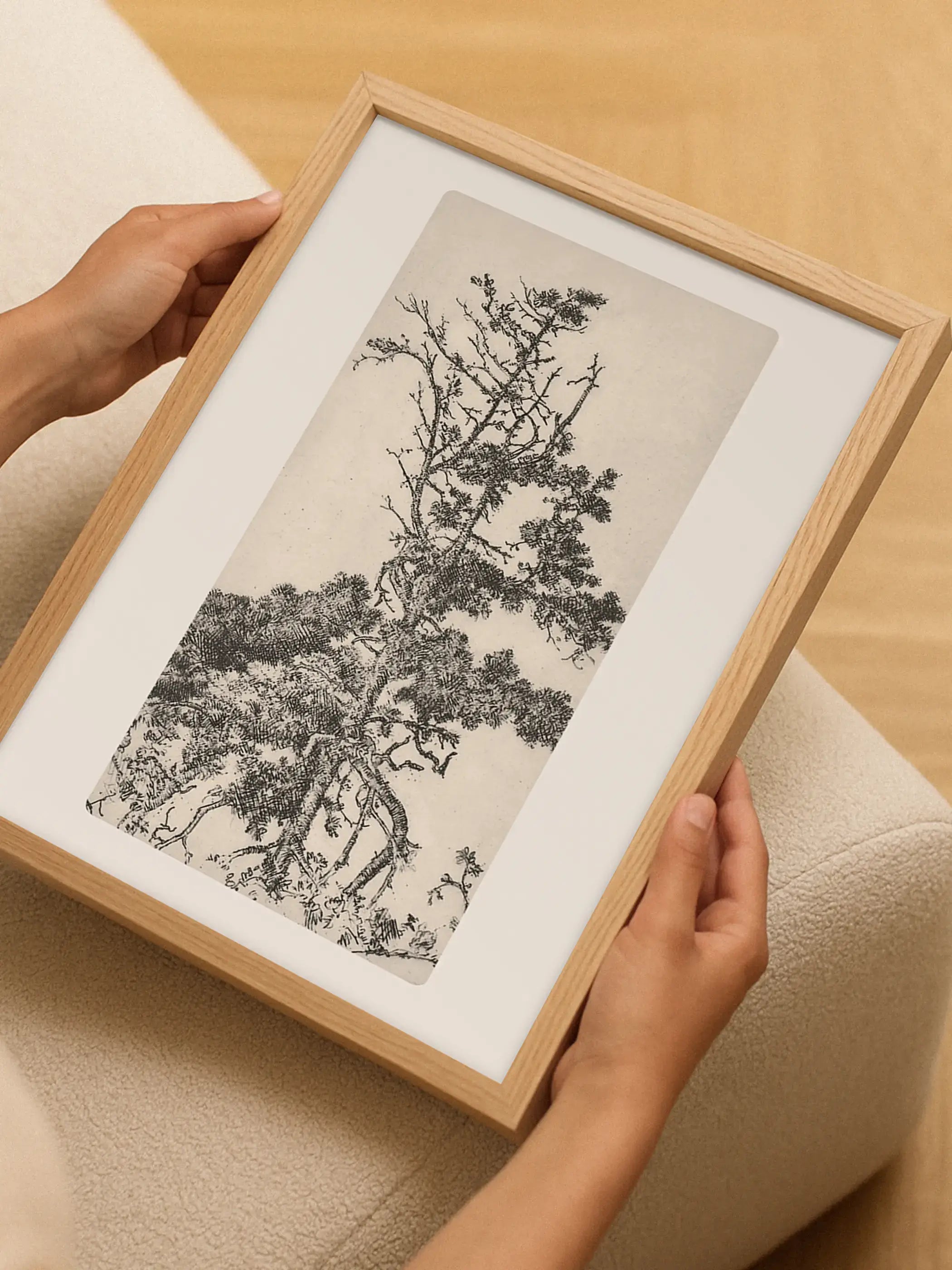 Eine Person hält einen gerahmten Kunstdruck mit einer historischen Kieferzeichnung in den Händen. Das botanische Wandbild zeigt die filigranen Details der Naturillustration und wirkt zeitlos sowie ruhig.