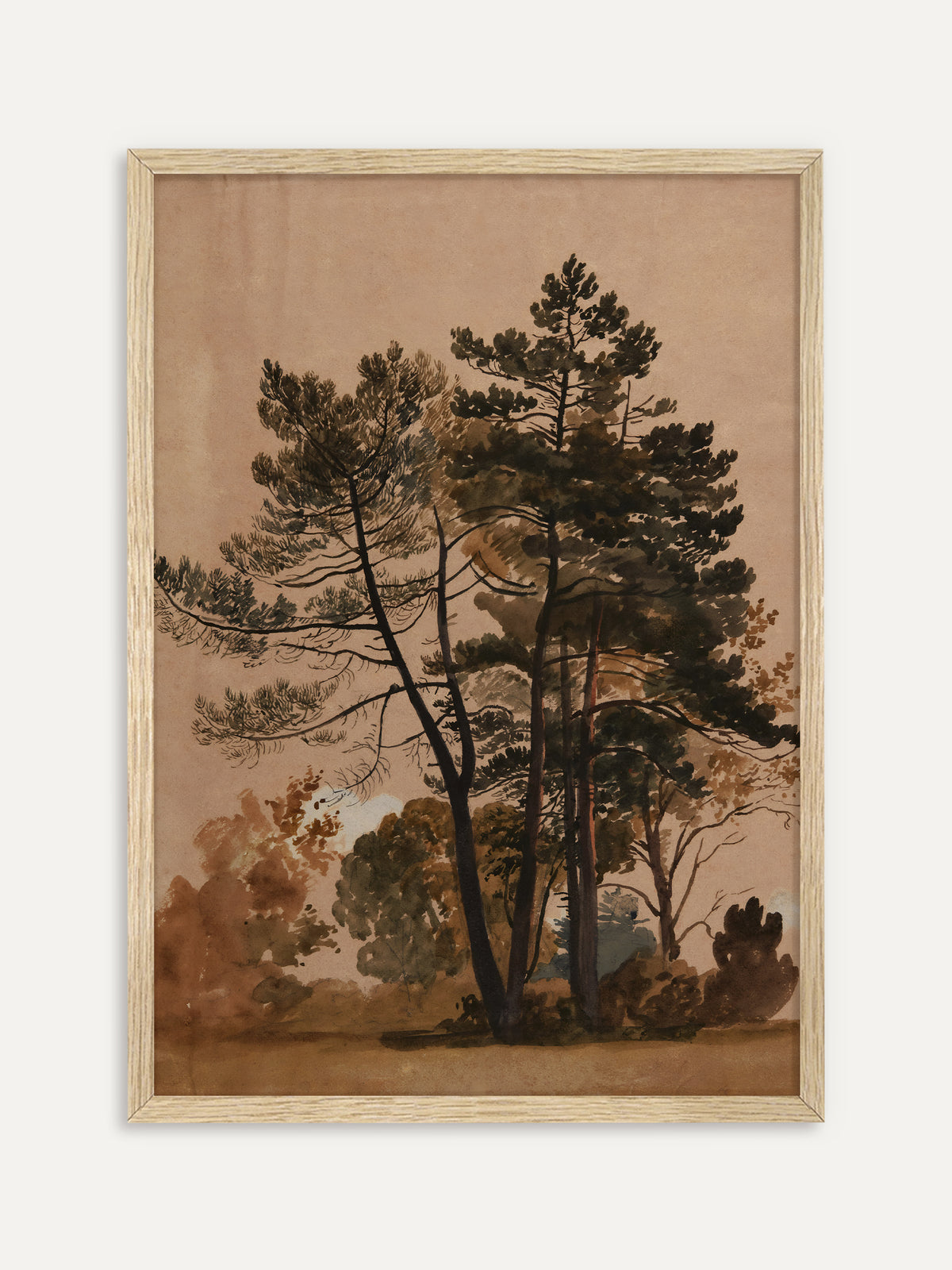 Kunstdruck, der hohe Kiefern mit dunklem Nadelwerk vor herbstlichem Laub in Olivgrün und Rostbraun auf warmem, rosigem Beige zeigt. Im Rahmen aus hellem Holz wirkt die Baumstudie warm und natürlich. #Rahmen_Helles Holz