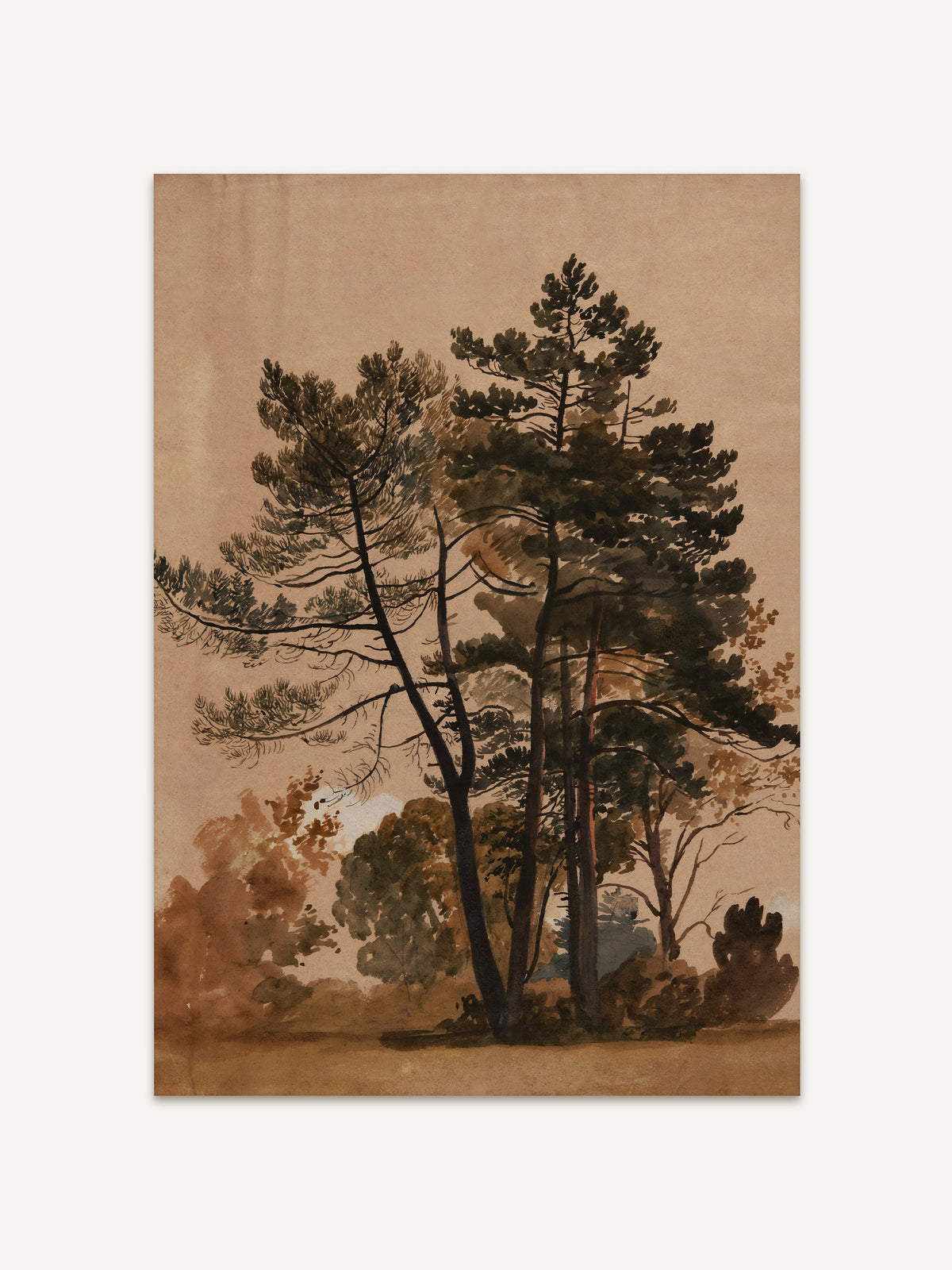 Kunstdruck mit hohen Kiefern, deren dunkles Nadelwerk sich vor herbstlichem Laub in Olivgrün und Rostbraun abhebt, auf warmem, rosigem Beige. Die Vintage Baumstudie in Aquarell bringt Naturtöne und Ruhe an die Wand. #Rahmen_Ohne Rahmen