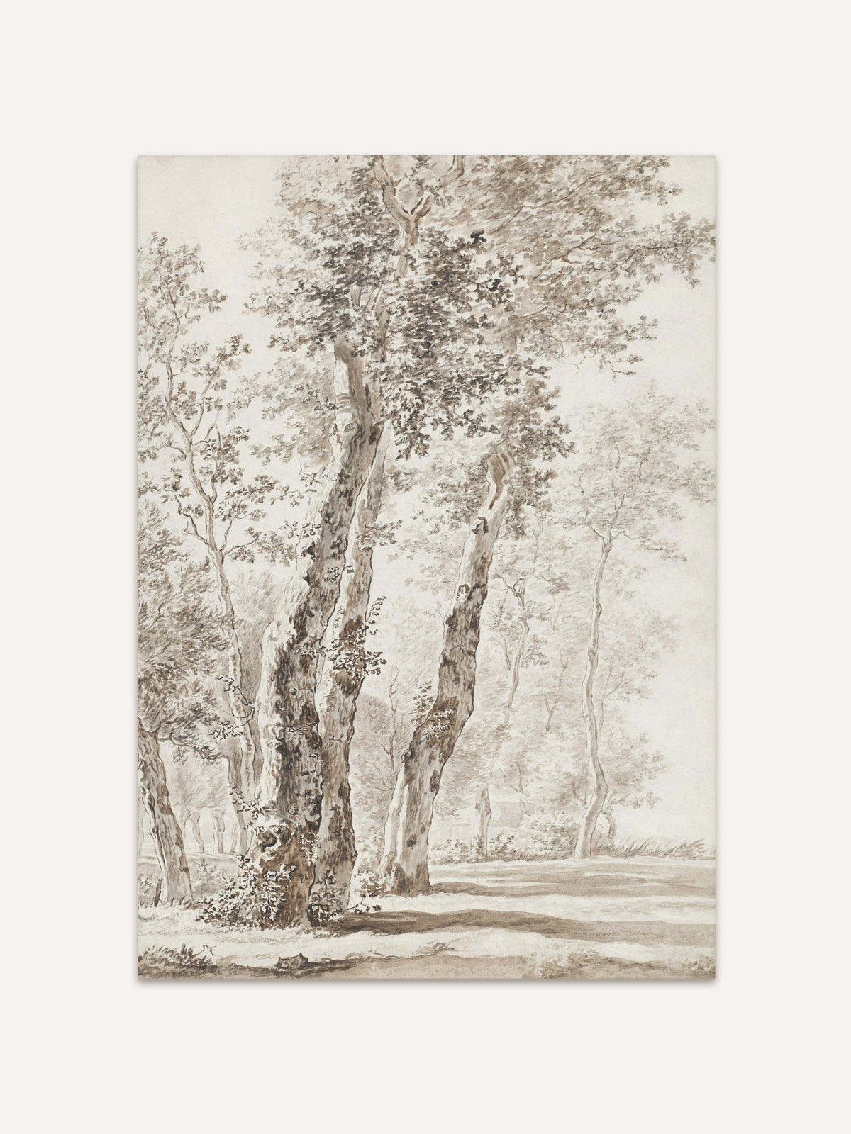 Fein gezeichnete antike Illustration von Bäumen in einem schattigen Park. Die detaillierte Darstellung von Stämmen und Blättern verleiht dem Bild eine ruhige, naturverbundene Atmosphäre. Perfekt für klassische Einrichtungsstile und als dekorativer Wandakzent geeignet. #Rahmen_Ohne Rahmen