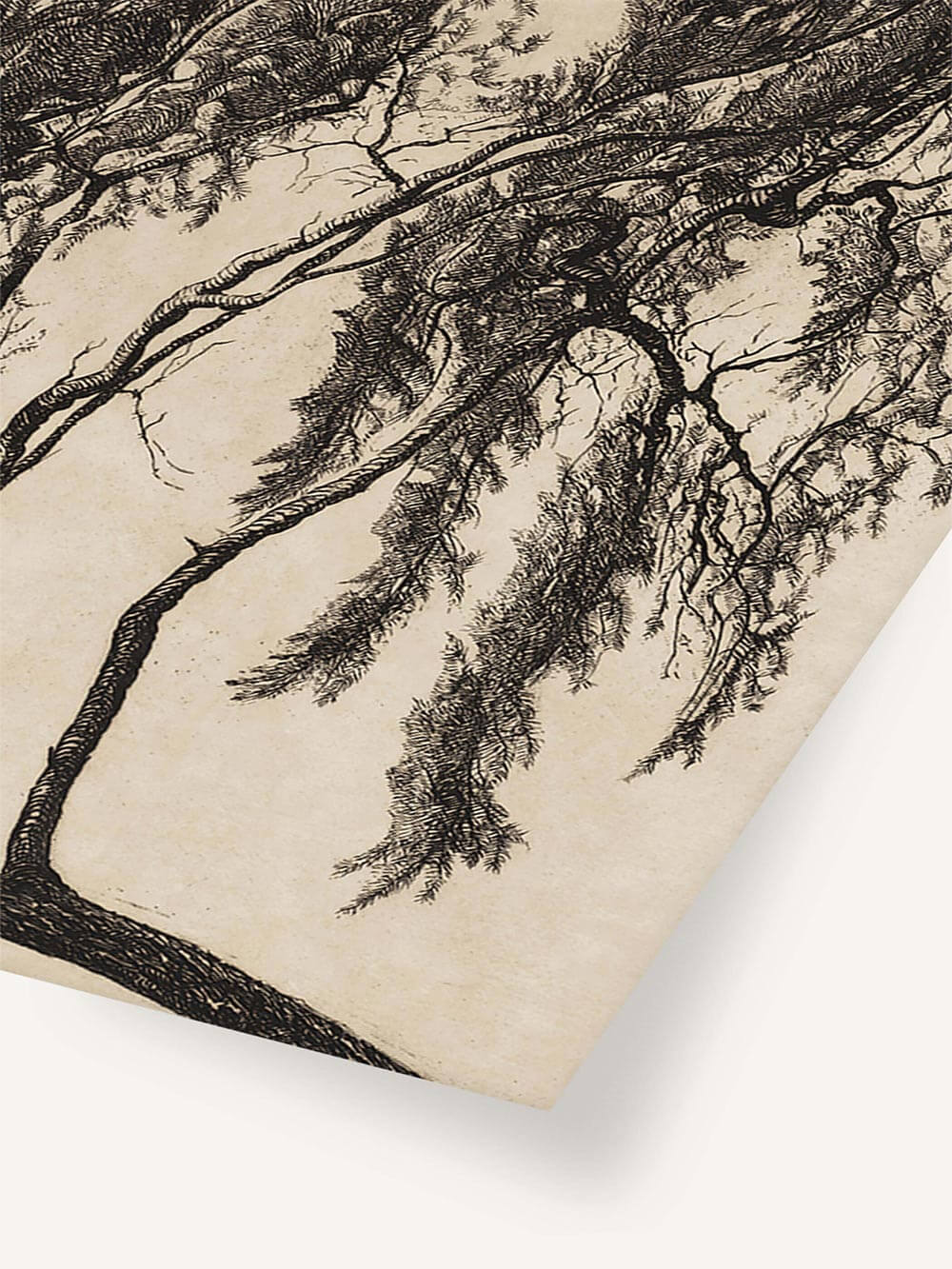 Nahaufnahme des Kunstdrucks mit filigranen Linien der Kiefer und sanfter Papierstruktur. Die feinen Details und die natürliche Farbnuance unterstreichen den handgezeichneten Charakter des Wabi-Sabi-Kunstwerks.