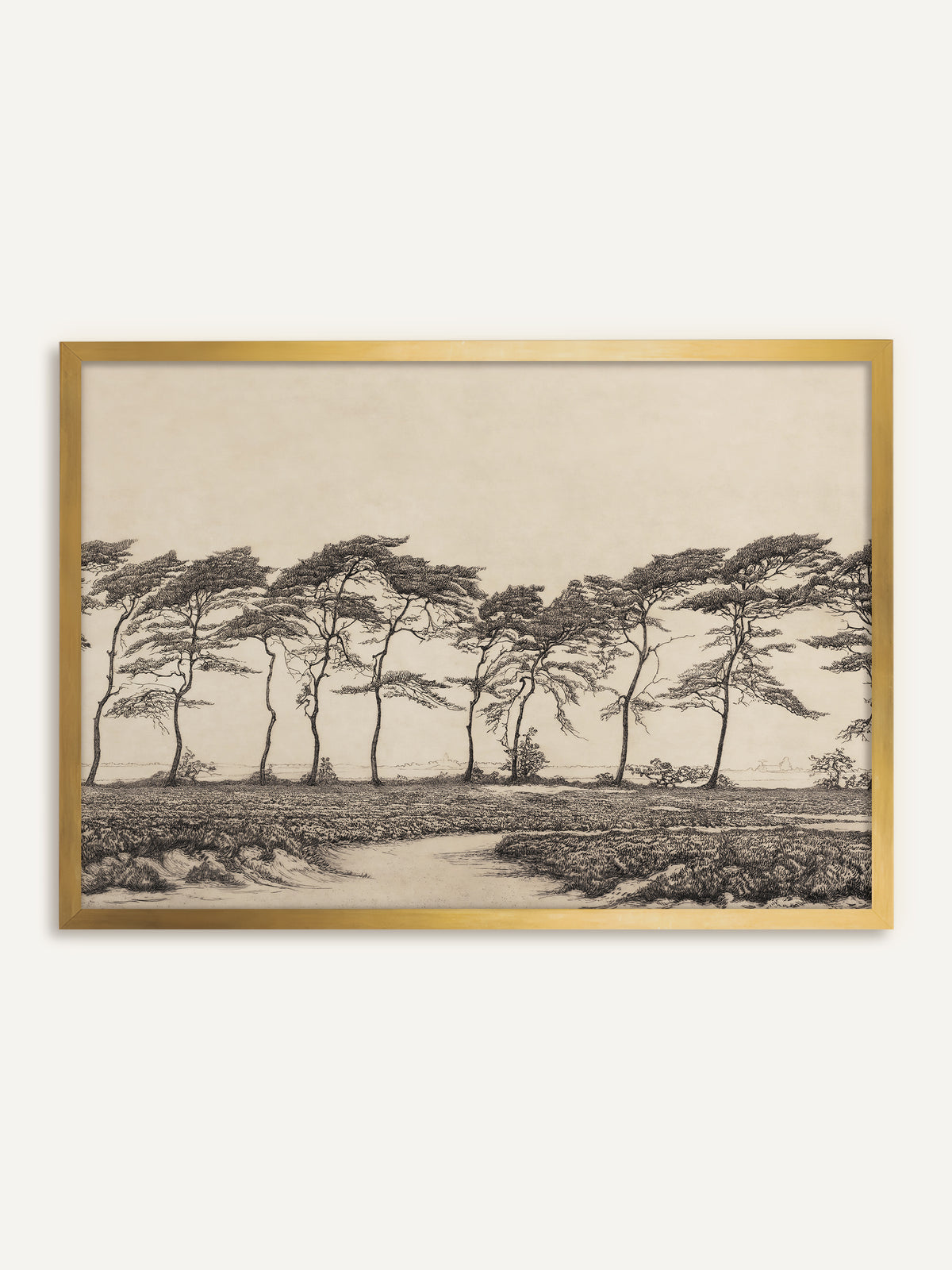 Wandbild, das eine Reihe windgebeugter Kiefern über einer Heidelandschaft mit hellem Sandweg zeigt, fein in Schwarz auf warmem Beige gezeichnet. Im goldenen Rahmen wird der beige Grund wärmer und die Zeichnung wirkt wie ein antikes Blatt. #Rahmen_Gold