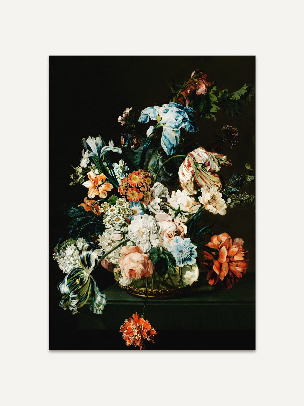 Ein prächtiges Barockstillleben Poster zeigt ein üppiges Blumenarrangement in leuchtenden Farben auf einem tiefschwarzen Hintergrund. Die Komposition umfasst verschiedene Blüten, darunter Rosen, Lilien, Tulpen und Nelken, die in kräftigen Farben wie Rot, Blau, Weiß und Orange leuchten. #Rahmen_Ohne Rahmen