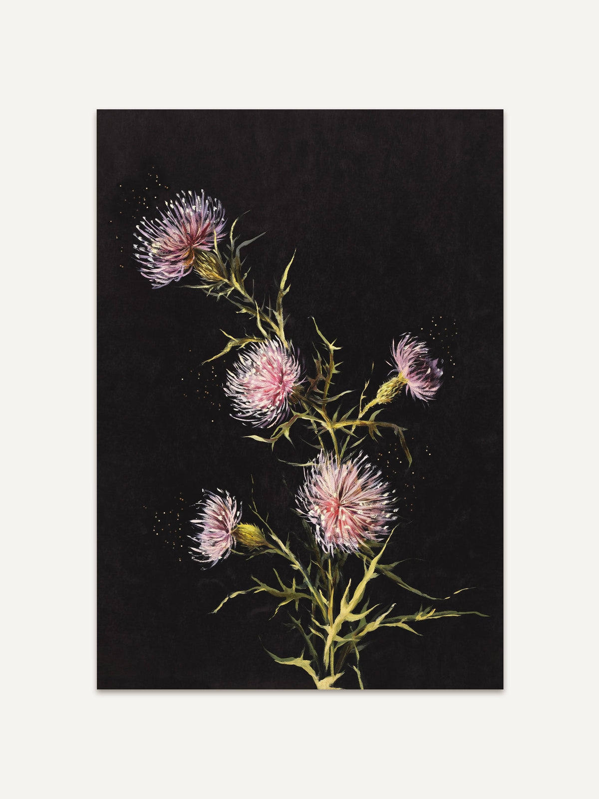 Ein botanischer Kunstdruck zeigt zarte Distelblüten in Rosa und Lila, die auf schlanken, dornigen Stielen wachsen. Vor einem tiefschwarzen Hintergrund strahlen die Blüten und heben sich kontrastreich hervor. Feinste Details der Blütenblätter und Dornen sind sichtbar, während vereinzelte, goldene Punkte eine schwebende Leichtigkeit andeuten. #Rahmen_Ohne Rahmen