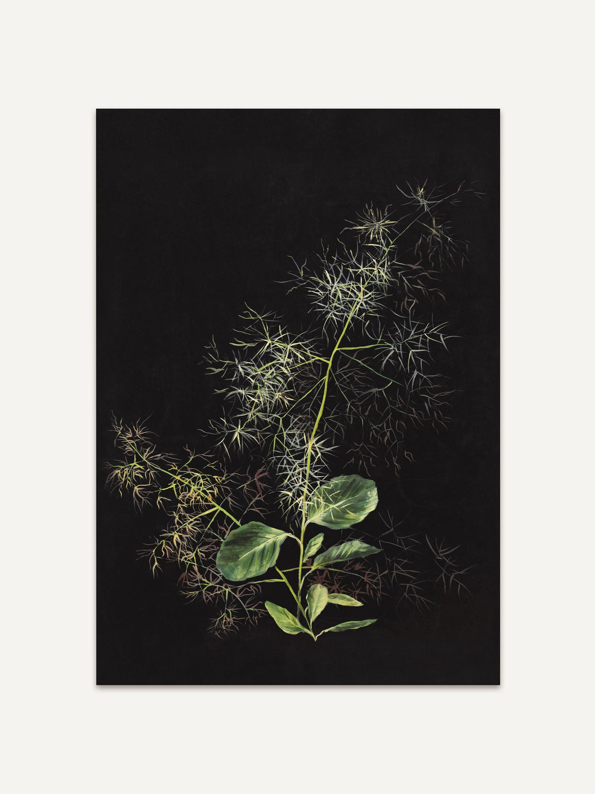 Ein filigraner botanischer Kunstdruck auf tiefschwarzem Hintergrund zeigt eine zarte Pflanze mit detailliert gezeichneten grünen Blättern und feinen, spinnennetzartigen Zweigen. Die Blätter sind hellgrün und kontrastieren harmonisch mit den subtilen, fast schattenhaften Linien der Zweige. Der minimalistische Stil des Drucks hebt die Eleganz und Schlichtheit der Natur hervor und strahlt eine ruhige, zeitlose Atmosphäre aus. #Rahmen_Ohne Rahmen