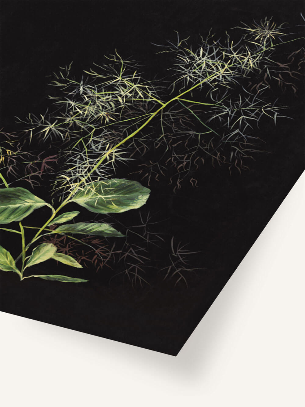 Nahaufnahme eines botanischen Kunstdrucks auf schwarzem Hintergrund. Die feinen, verzweigten Linien eines zarten Stängels und die hellgrünen Blätter stehen im Fokus. Die filigrane Struktur der Pflanze hebt sich klar vom dunklen Hintergrund ab, während die detailgetreue Darstellung der Blätter und Zweige die Natur in ihrer subtilen Schönheit und Zerbrechlichkeit einfängt.