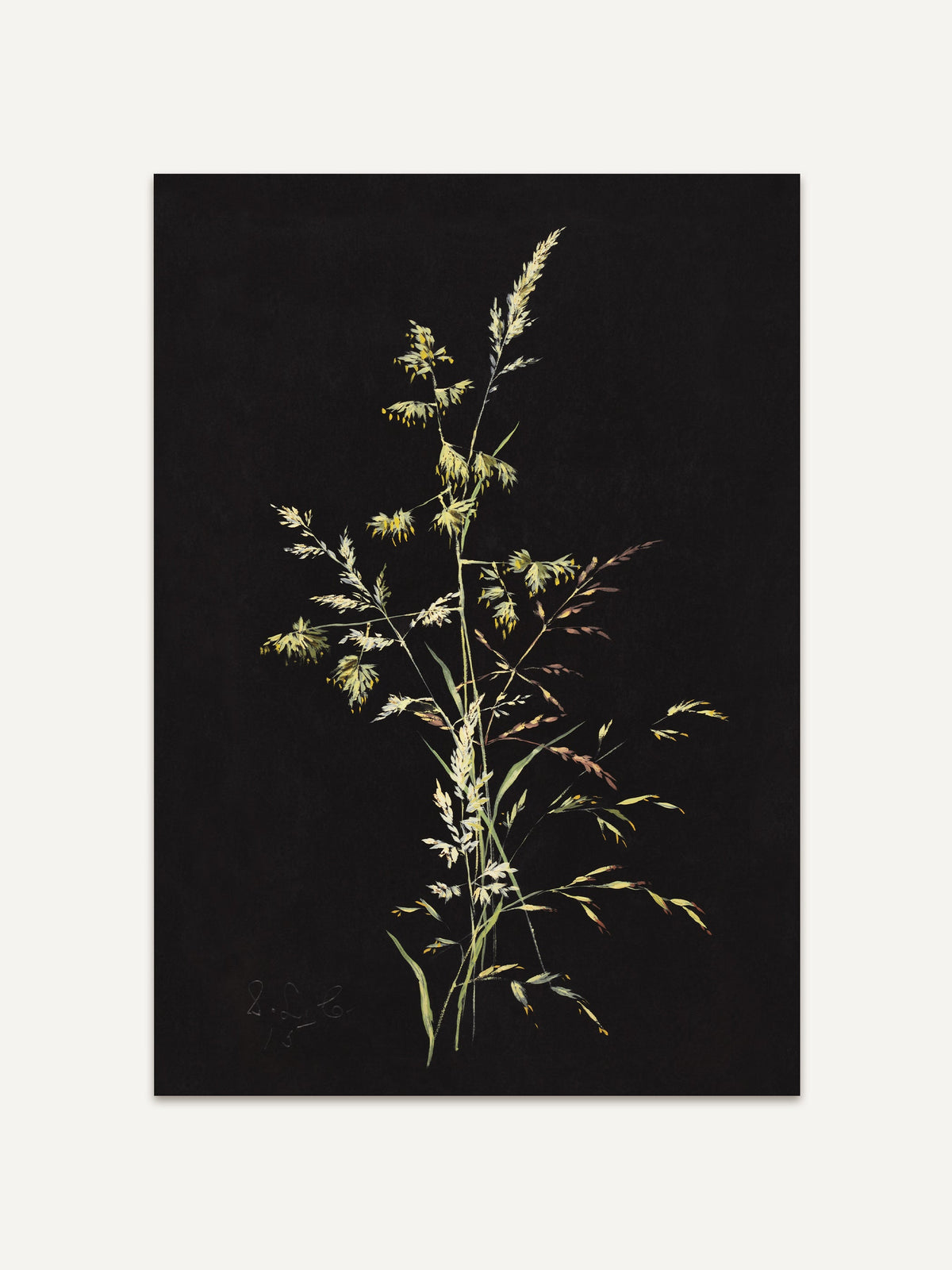 Eine botanische Illustration eines filigranen, goldgelben Grashalms, der sich vor einem tiefschwarzen Hintergrund abhebt. Die Blätter und Grashalme wirken zart und detailliert, mit feinen Farbverläufen von hellen Gelbtönen bis hin zu leicht bräunlichen Akzenten. Der Kontrast zwischen dem hellen, natürlichen Motiv und dem dunklen Hintergrund verstärkt die elegante und ruhige Atmosphäre des Kunstwerks. #Rahmen_Ohne Rahmen