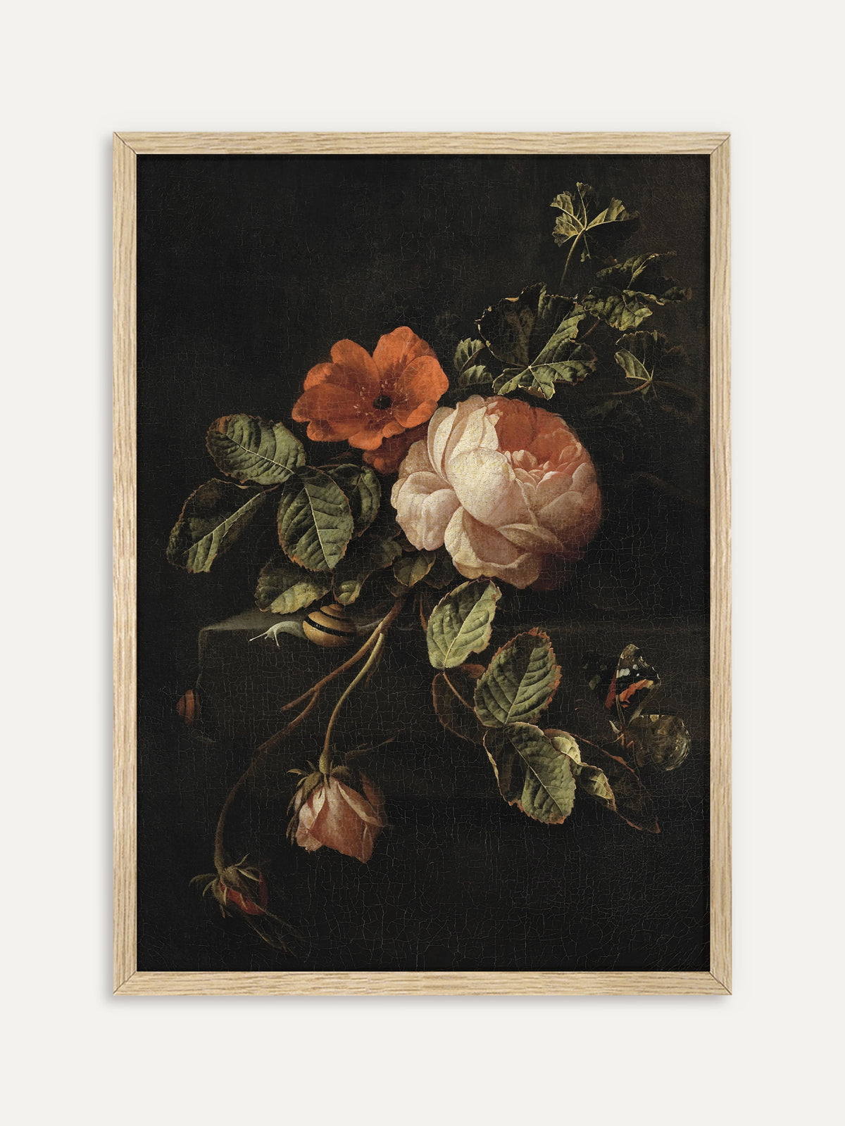 Kunstdruck, der eine cremefarbene Rose mit Knospen, eine orangerote Heckenrose und grüne Blätter auf einem Steinsims vor dunklem Hintergrund zeigt, dazu eine Schnecke und ein Schmetterling. Im Rahmen aus hellem Holz wirkt das barocke Rosenstillleben leichter und moderner. #Rahmen_Helles Holz