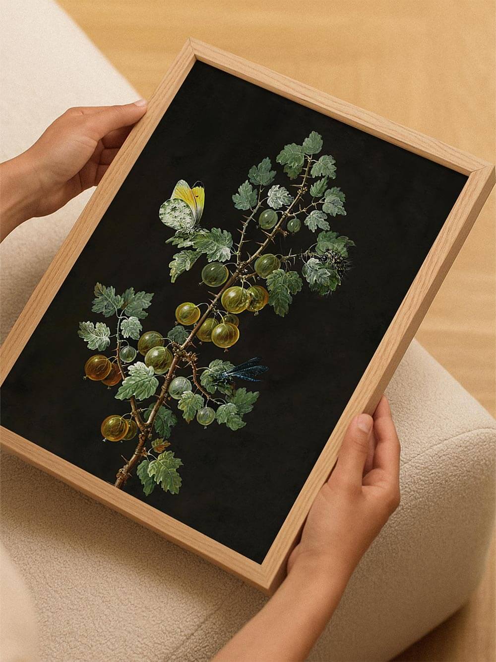 Ein gerahmter botanischer Kunstdruck mit Stachelbeeren wird in Händen gehalten. Die ruhige Farbpalette und der schwarze Hintergrund unterstreichen den Vintage-Charakter.