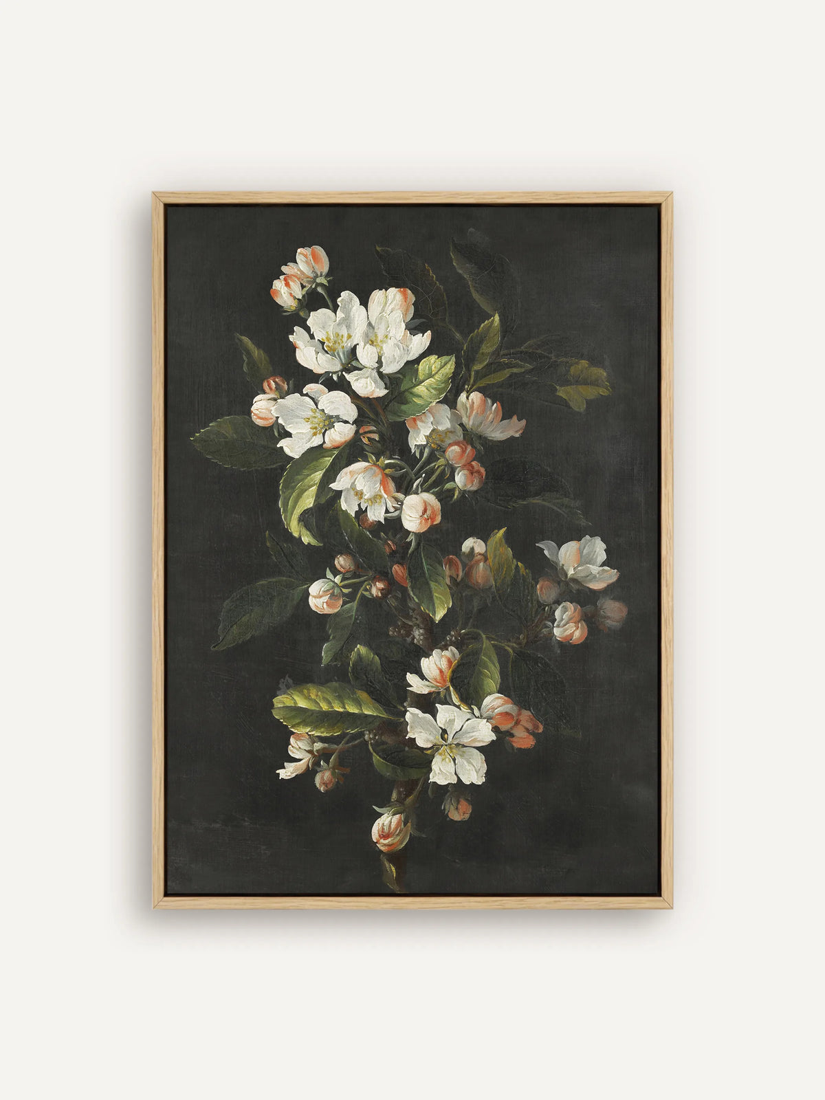 Leinwandbild mit weißen Kirschblüten und rosa Knospen an einem Zweig vor schwarzem Grund, im naturfarbenen Schattenfugenrahmen. Die gezackten grünen Blätter sind fein ausgearbeitet. #Rahmen_Natur