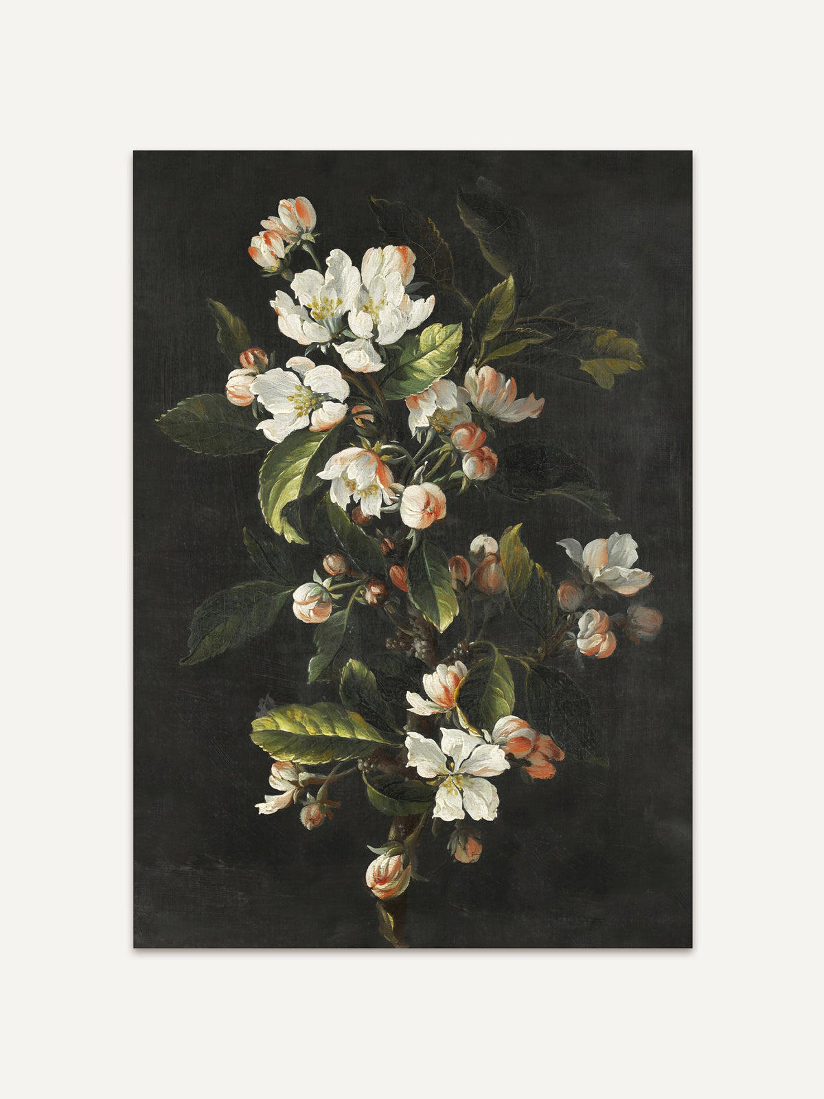 Ein Kunstdruck, der einen zarten Zweig mit weißen Blüten und leicht rosa angehauchten Knospen zeigt, vor einem tiefen, dunklen Hintergrund. Die feinen Details der Blätter und Blüten heben sich klar vom schwarzen Hintergrund ab und erzeugen eine elegante, ruhige Atmosphäre. Die natürlichen Grüntöne der Blätter und die leuchtenden weißen Blüten verleihen dem Bild eine klassische, zeitlose Schönheit. #Rahmen_Ohne Rahmen