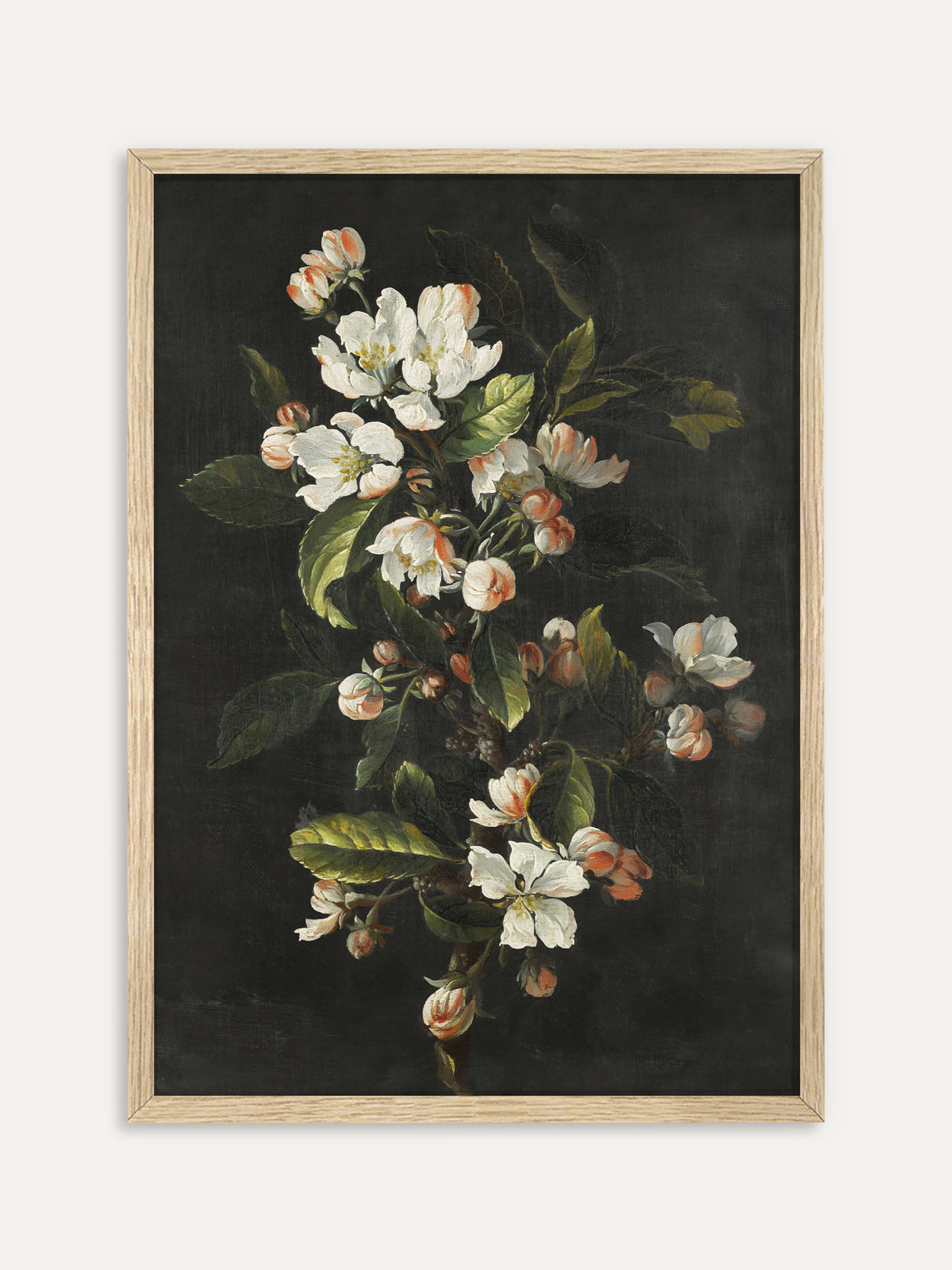 Kunstdruck, der einen blühenden Kirschzweig mit weißen Blüten, rosa Knospen und grünen Blättern vor dunklem Hintergrund zeigt. Im Rahmen aus hellem Holz wirkt das Frühlingsmotiv leicht und hell. #Rahmen_Helles Holz