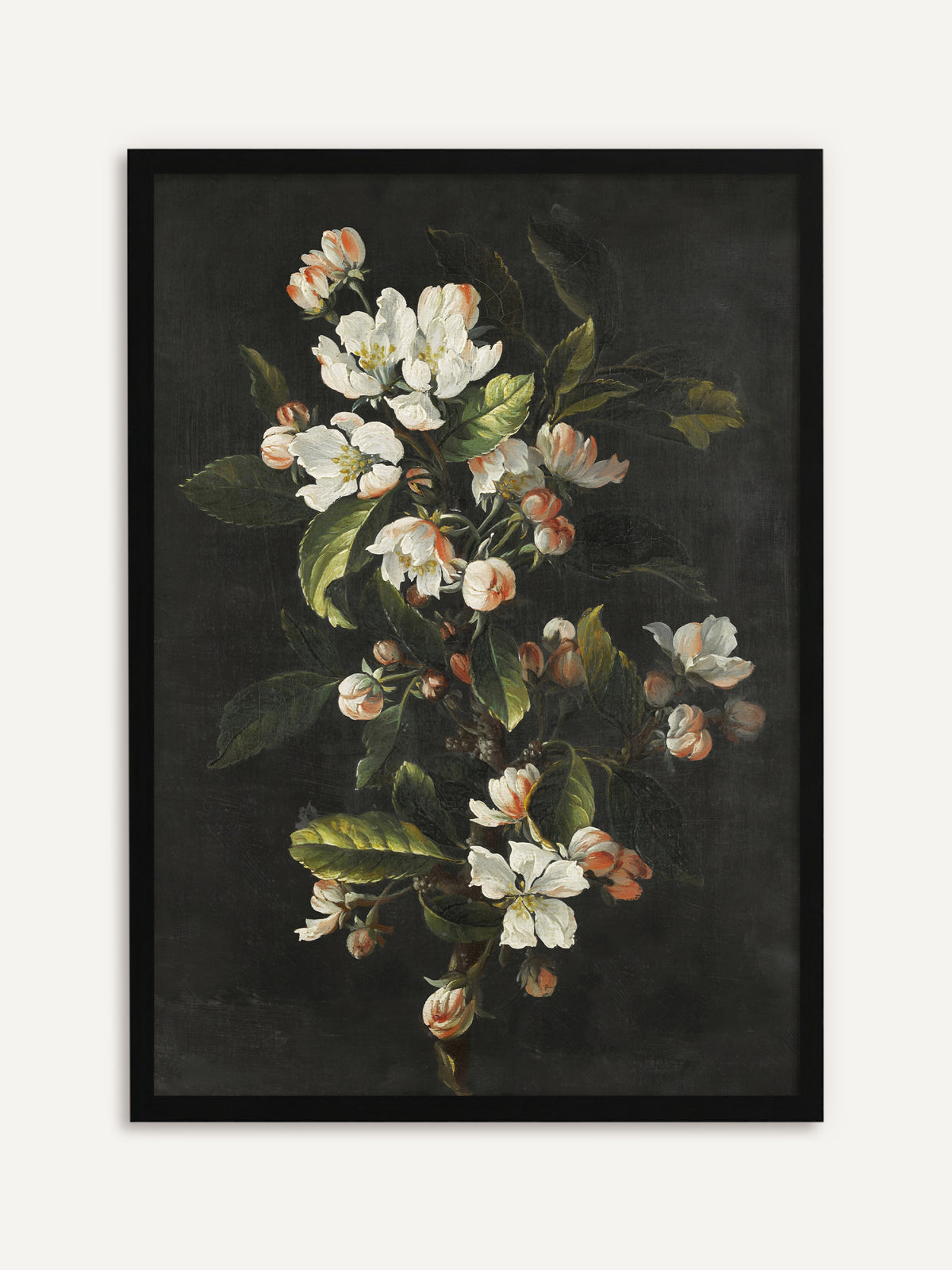 Gerahmtes Poster, das einen blühenden Kirschzweig mit weißen Blüten, rosa Knospen und grünen Blättern vor dunklem Hintergrund zeigt. Mit schwarzem Rahmen leuchten die weißen Blüten klar aus dem moody Motiv hervor. #Rahmen_Schwarz
