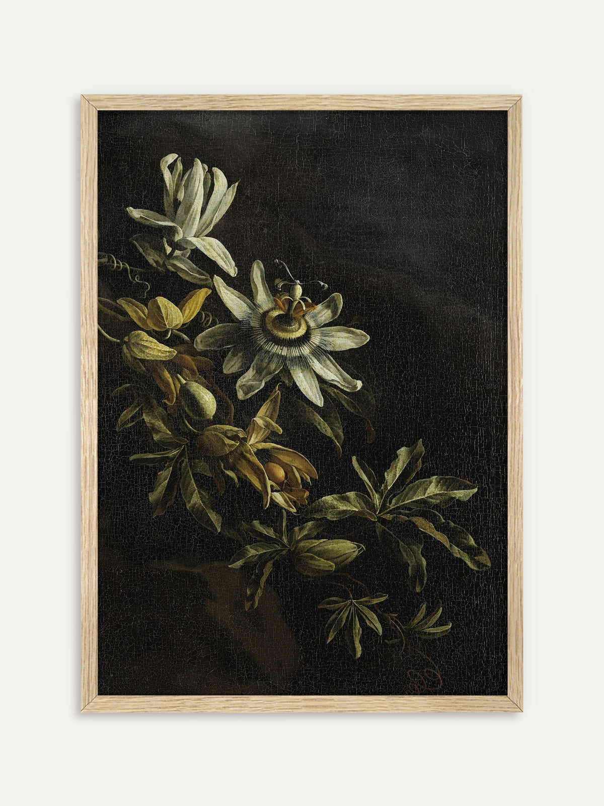 Kunstdruck, der eine weiße Passionsblume mit Ranken, kleinen Früchten und olivgrünen Blättern vor fast schwarzem Hintergrund zeigt. Der Rahmen aus hellem Holz hebt das barocke Blumenstillleben ruhig von der Wand ab. #Rahmen_Helles Holz