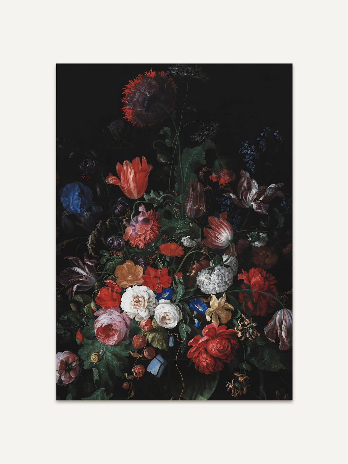 Kunstdruck eines barocken Blumenstilllebens mit roten und rosa Rosen, gestreiften Tulpen, blauer Iris und weißem Schneeball vor schwarzem Hintergrund. Unten links sitzt eine kleine Schnecke am Blattrand. #Rahmen_Ohne Rahmen