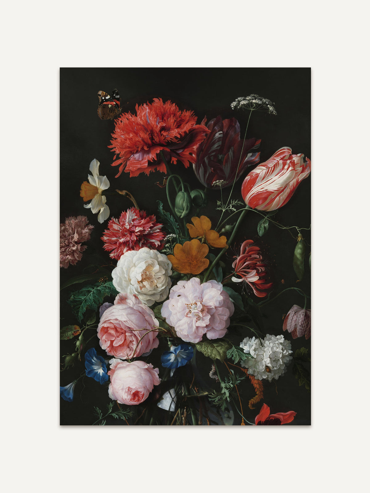 Kunstdruck eines barocken Blumenstilllebens mit rotem Mohn, rot-weiß gestreifter Tulpe, weißen und rosa Rosen und blauen Prunkwinden in einer Glasvase vor dunklem Hintergrund. Oben links sitzt ein Schmetterling. #Rahmen_Ohne Rahmen