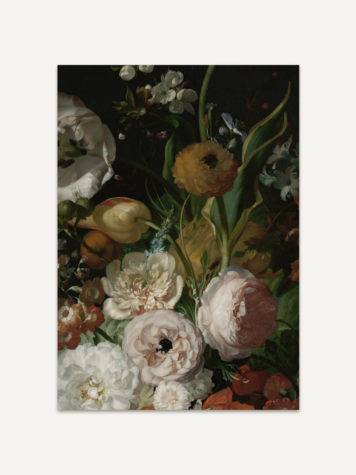 Barockes Blumenstillleben mit cremefarbenen Pfingstrosen, gelben Ranunkeln und einer gestreiften Tulpe vor dunklem Hintergrund. Der Kunstdruck zeigt die gedämpfte, warme Farbpalette und die feine botanische Detailgenauigkeit. #Rahmen_Ohne Rahmen