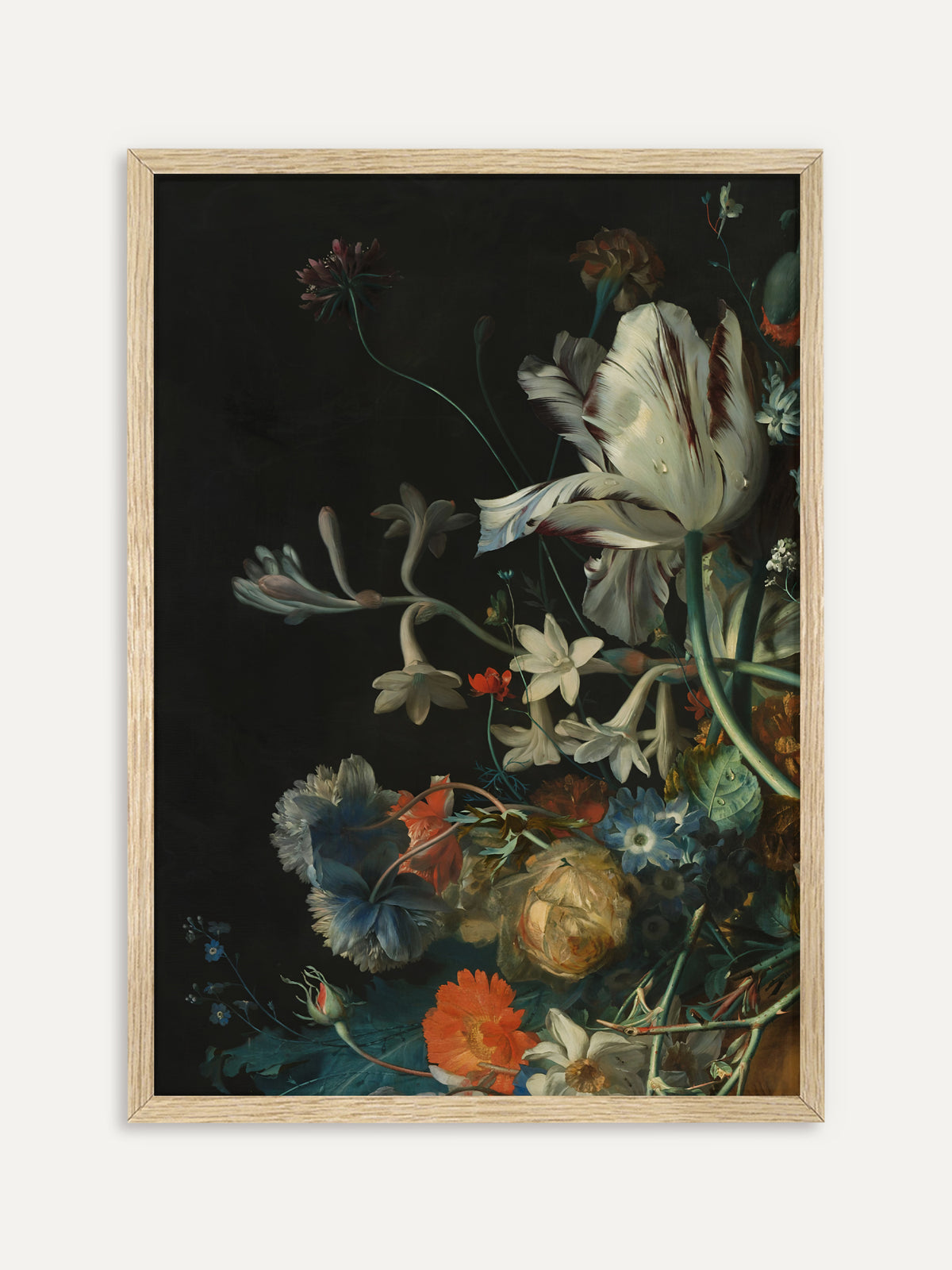 Kunstdruck, der eine große weiße Tulpe mit burgunderroten Streifen, weiße Sternblüten, eine blaue Nelke und eine orange Ringelblume vor tiefschwarzem Hintergrund zeigt. Im hellen Holzrahmen wirkt das barocke Motiv klar und leicht. #Rahmen_Helles Holz