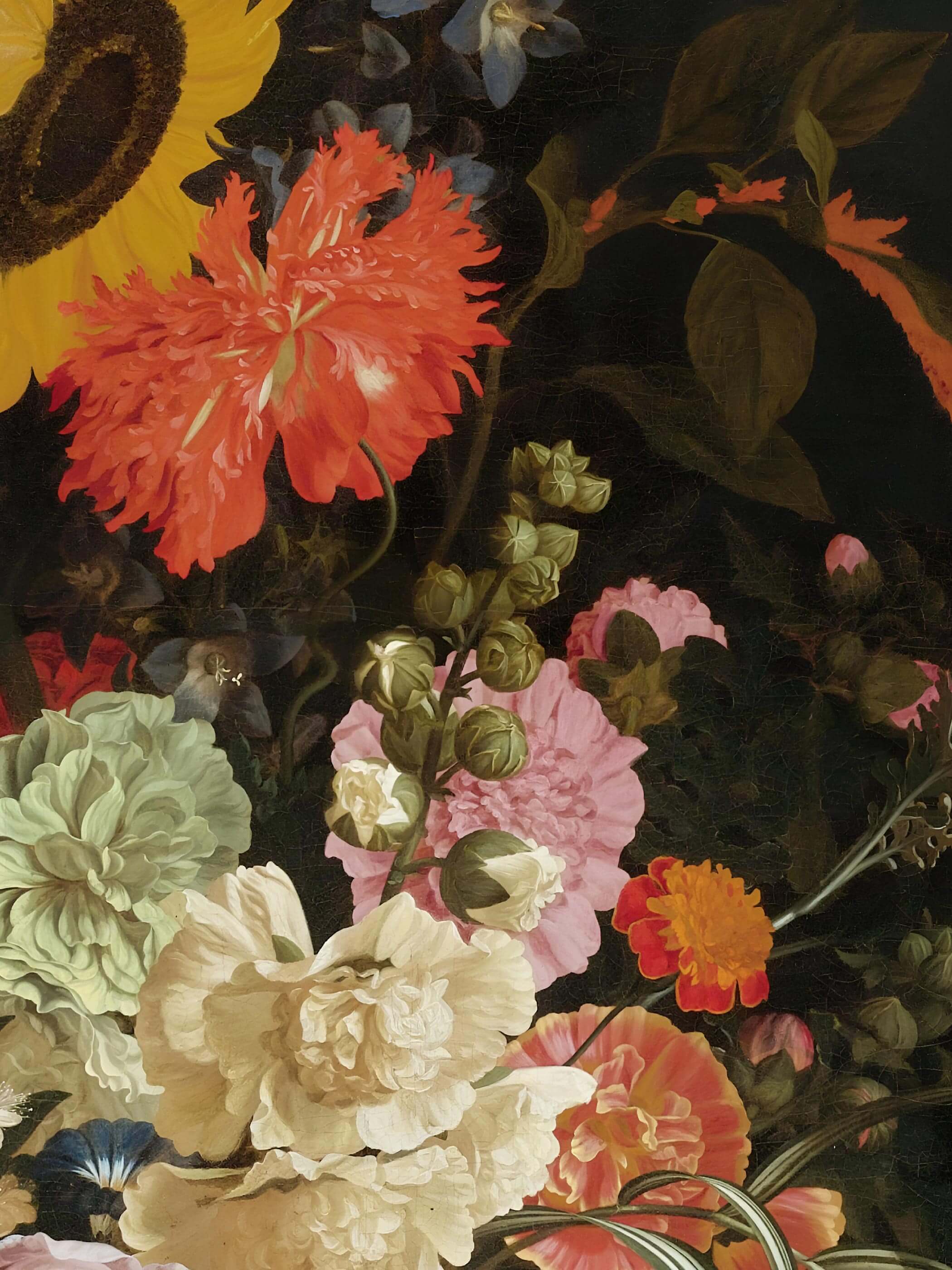 Nahaufnahme der orangeroten Nelke, mintgrünen Pfingstrose und Ringelblume mit feinen botanischen Details vor dunklem Hintergrund. Die kräftige Maltechnik und die warmen Farbkontraste zeigen die Qualität dieses Barock Kunstdrucks im Detail.
