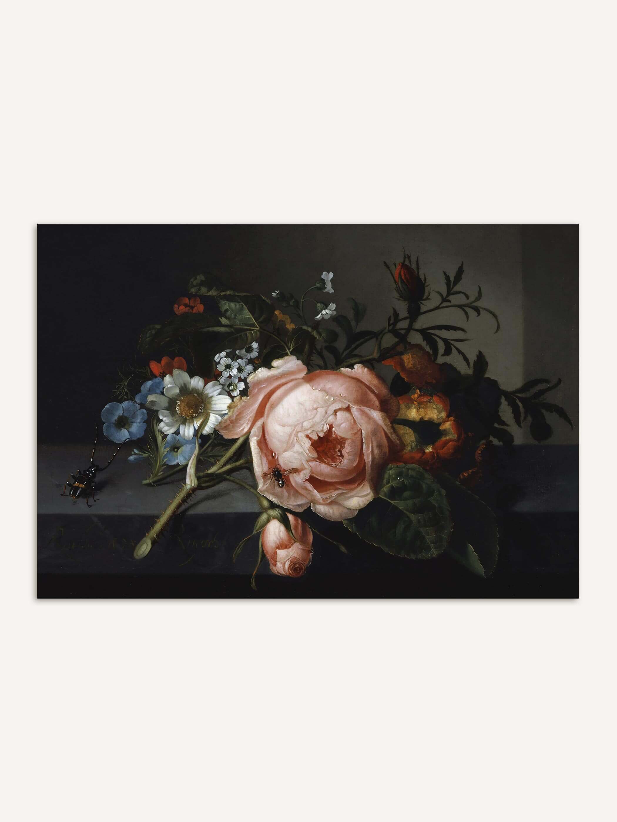 Barockes Blumenstillleben mit einer rosafarbenen Rose, blauen Windröschen und weißen Gänseblümchen auf einer Steinplatte vor dunkelgrauem Hintergrund. Der Kunstdruck zeigt einen Käfer und eine Biene zwischen den Blüten im Detail.