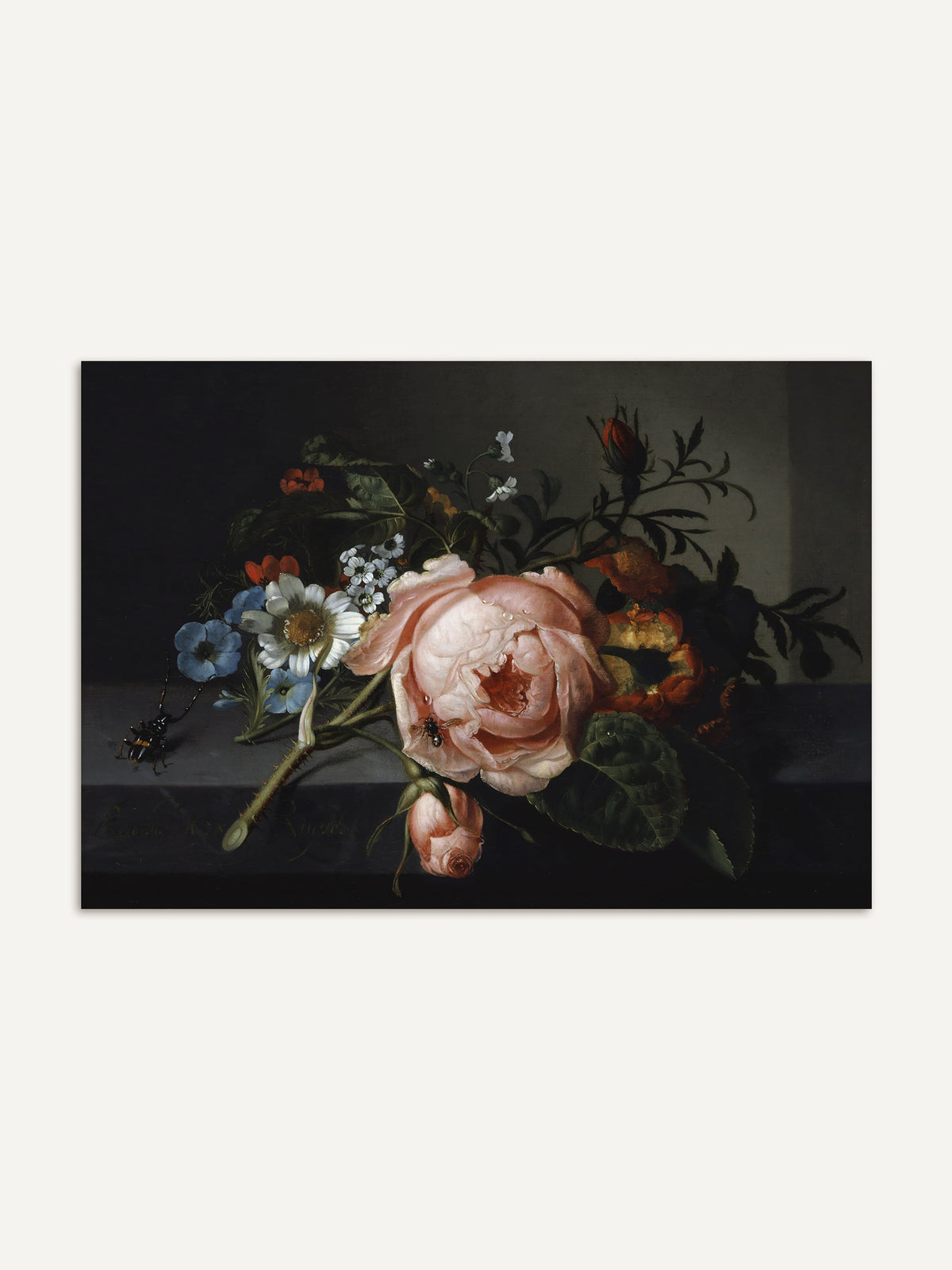 Barockes Blumenstillleben mit einer rosafarbenen Rose, blauen Windröschen und weißen Gänseblümchen auf einer Steinplatte vor dunkelgrauem Hintergrund. Der Kunstdruck zeigt einen Käfer und eine Biene zwischen den Blüten im Detail. #Rahmen_Ohne Rahmen