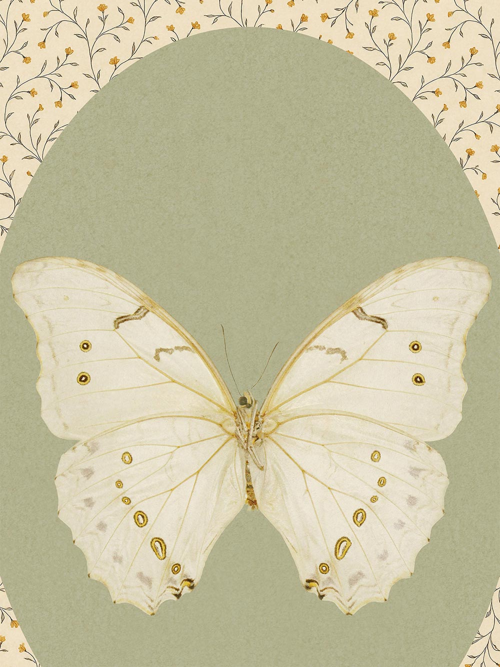 Nahaufnahme des feinen Schmetterlingsflügels mit zarten goldenen Linien, vor einem moosgrünen Hintergrund und floralen Details am Rand.