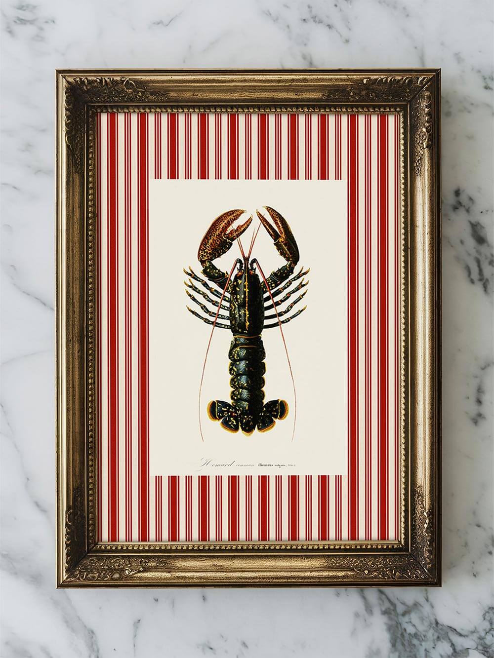 Gerahmter Kunstdruck mit detaillierter Hummer-Illustration auf cremefarbenem Hintergrund und roten Streifen, stilvoll platziert auf einer Marmorplatte.