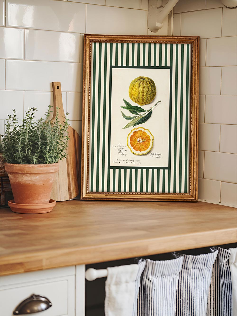 Frucht-Kunstdruck mit Orange und Streifenmuster in goldgerahmtem Bild, dekorativ platziert auf rustikaler Holzküchentheke mit Kräutertopf – nostalgischer Akzent für klassische Küchen.