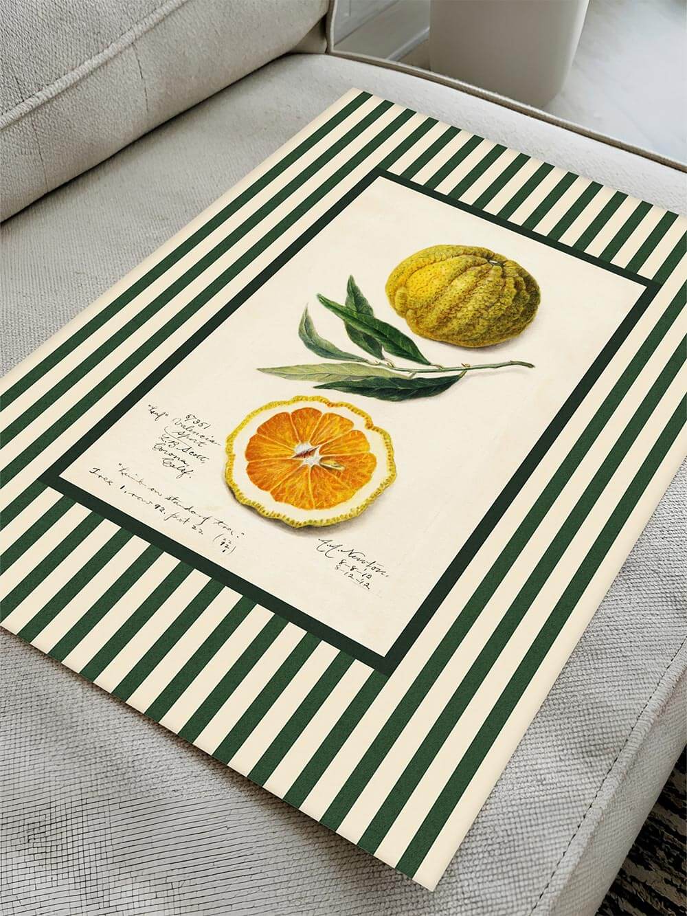 Vintage-Print mit Orange und grünen Streifen, flach auf beigem Sofa präsentiert – detailreiche botanische Kunst in erfrischender Farbpalette, ideal als stilvolle Küchendeko oder Wohnakzent.