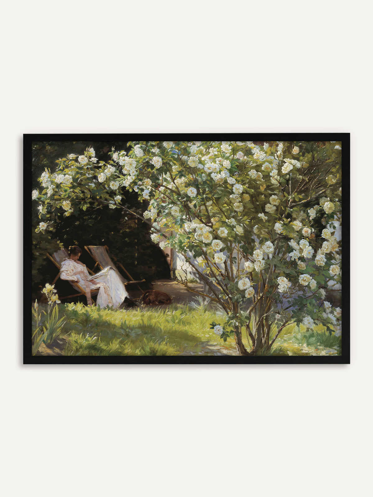 Gerahmtes Poster, das eine Frau in einem weißen Kleid zeigt, die im Liegestuhl unter einem üppig blühenden Strauch weißer Rosen liest, während neben ihr ein brauner Hund im Gras schläft. Mit schwarzem Rahmen wird das impressionistische Motiv klar gefasst und passt in moderne Räume. #Rahmen_Schwarz