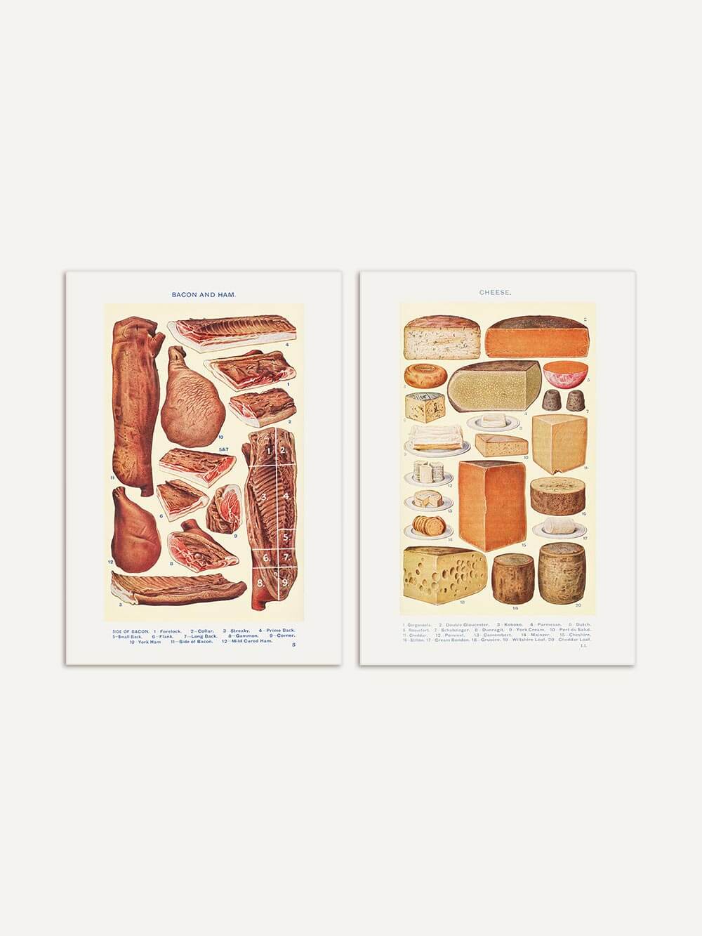 Zweiteiliges Bilderset mit Vintage-Illustrationen von Käse und Fleischwaren, detailliert und nostalgisch gestaltet – stilvolle Küchenwandkunst mit historischem Charme.