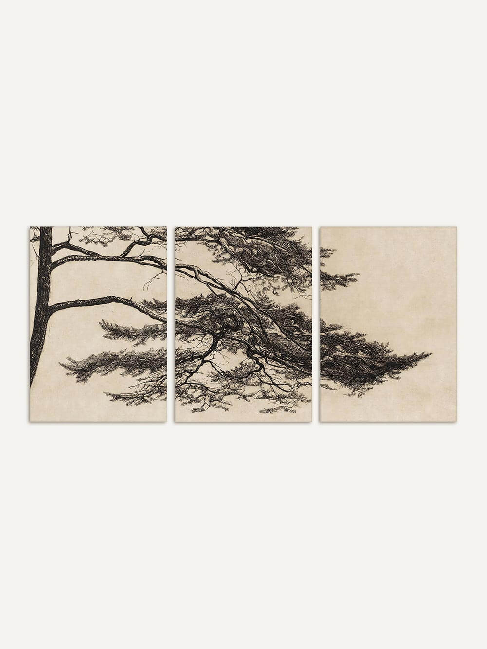 Vintage Triptychon Kunstdruck eines Kiefernasts in schwarzer Tinte auf hellem Hintergrund. Das dreiteilige Design zeigt die fließende Struktur der Äste und feinen Linien, ideal für minimalistische Wanddekoration