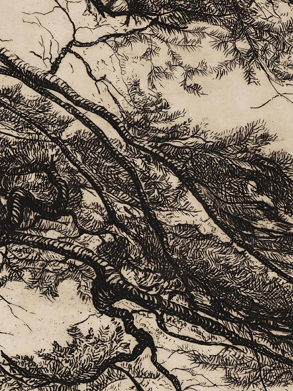 Feine Linien der Kiefernnadeln und Verästelungen auf hellem Grund. Die sanfte Textur und japanisch inspirierte Zeichentechnik verleihen dem Wandbild Tiefe und Ruhe im Wabi-Sabi-Stil.