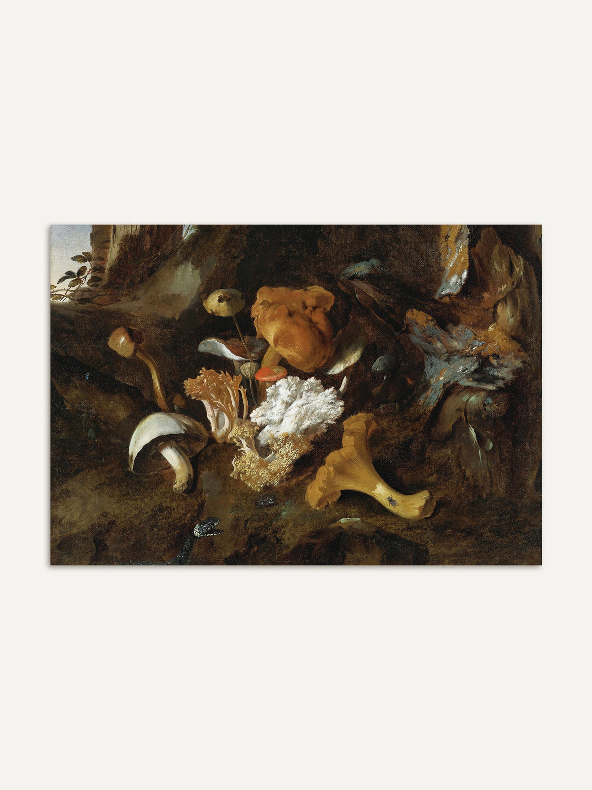 Barockes Stillleben Poster mit verschiedenen Waldpilzen, realistisch und detailreich auf einem Waldhintergrund gemalt, zeigt naturgetreue Darstellungen von Pilzen in gedeckten Farben. #Rahmen_Ohne Rahmen