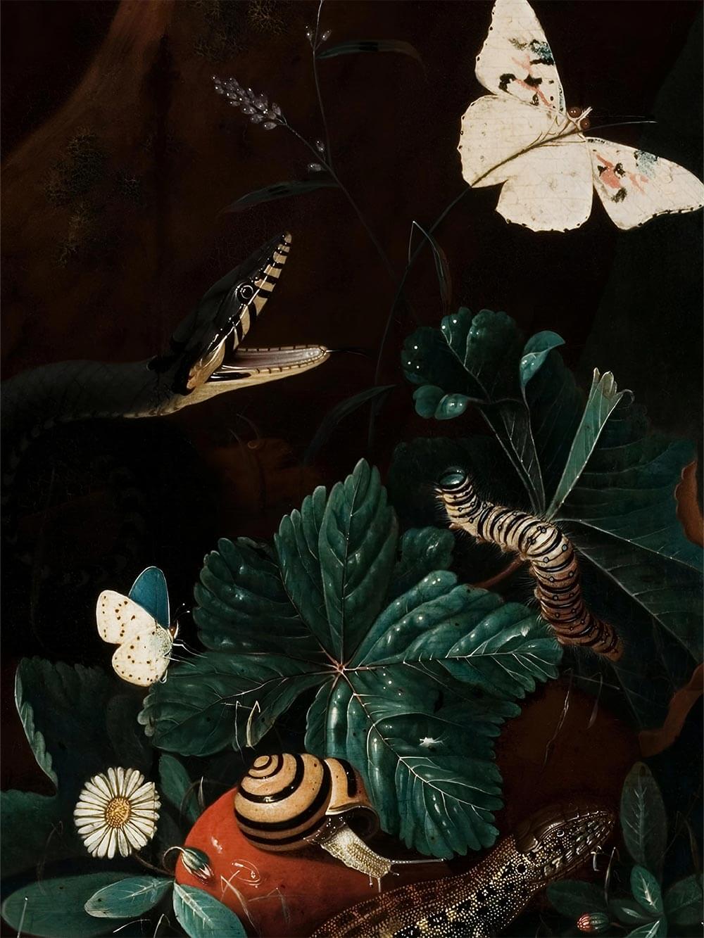 Detailansicht eines Vintage-Kunstdrucks mit Schmetterlingen, Blättern und einer geöffneten Schlangenmündung auf dunklem Hintergrund. Die Illustration zeigt filigrane Naturdetails im Barockstil.