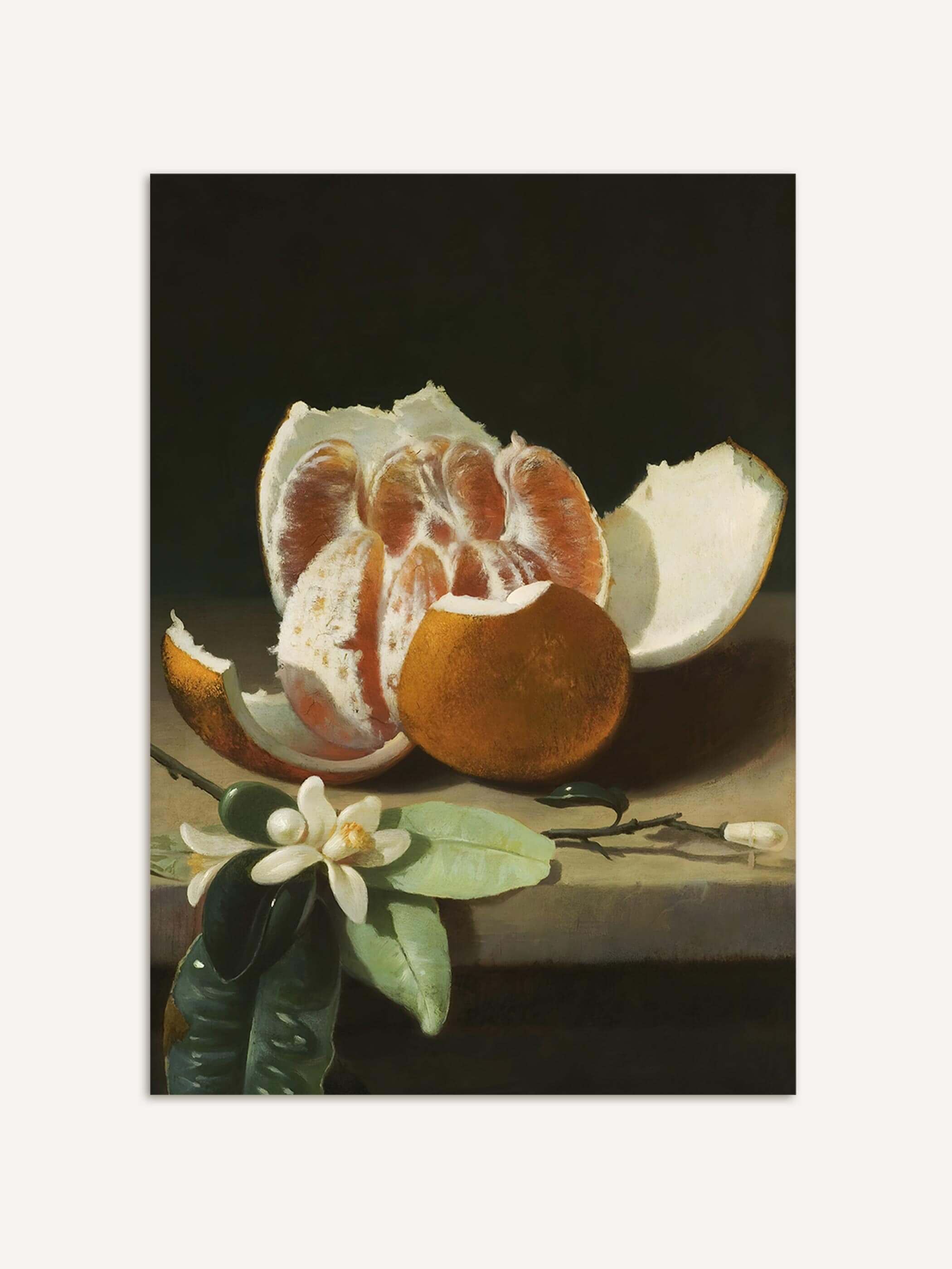Barockes Stillleben mit einer teilweise geschälten Orange, einer zweiten ganzen Orange und einem weißen Orangenblütenzweig vor fast schwarzem Hintergrund. Der Kunstdruck zeigt die feine Lichtführung und die warmen Orangetöne im Kontrast zum dunklen Bildgrund.