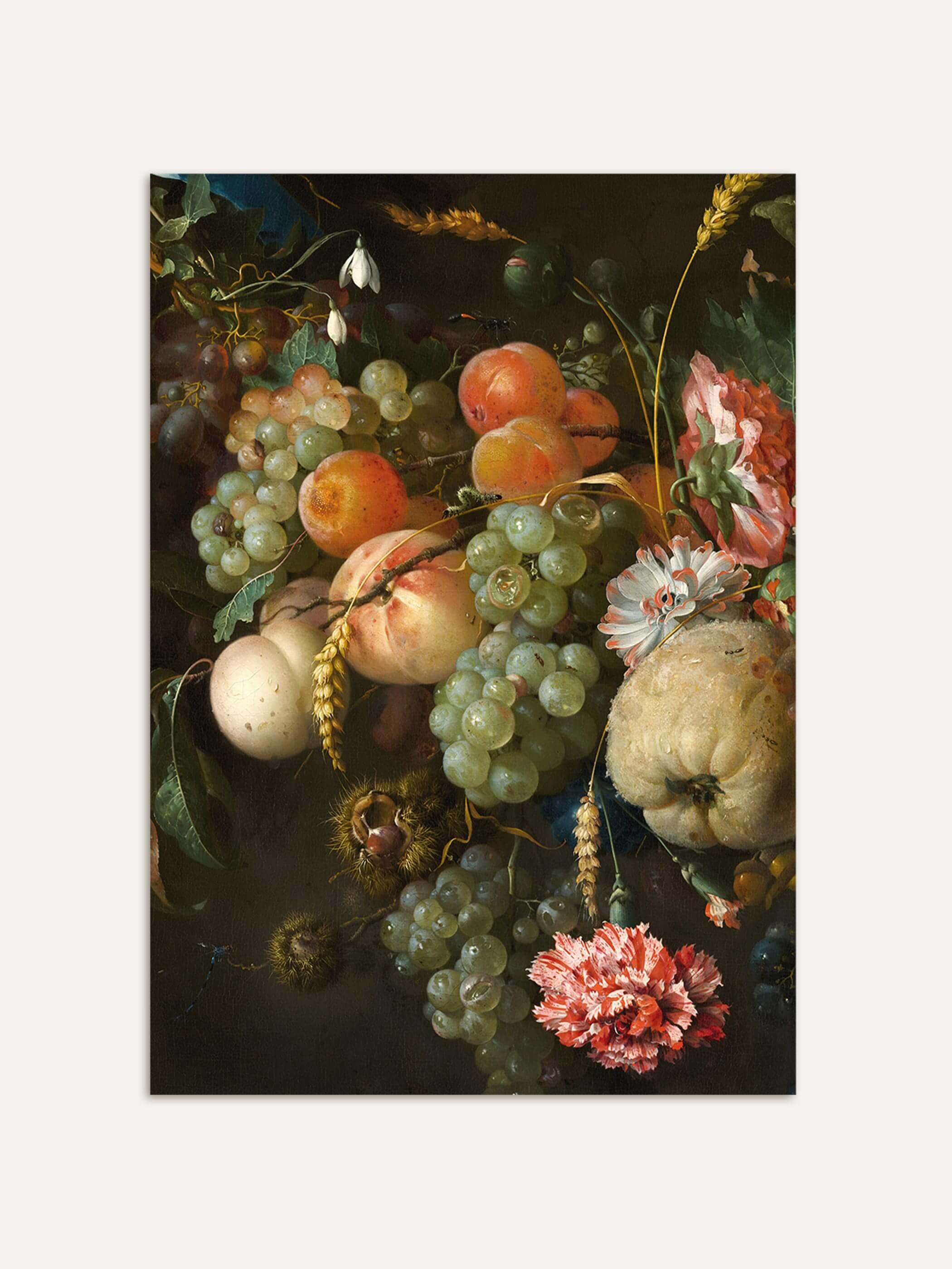 Barockes Stillleben mit grünen Weintrauben, Pfirsichen, einer wolligen Quitte und einer rosa-weißen Nelke vor dunklem Hintergrund. Der Kunstdruck zeigt die dichte, naturgetreue Fruchtgirlande mit feinen Insektendetails.